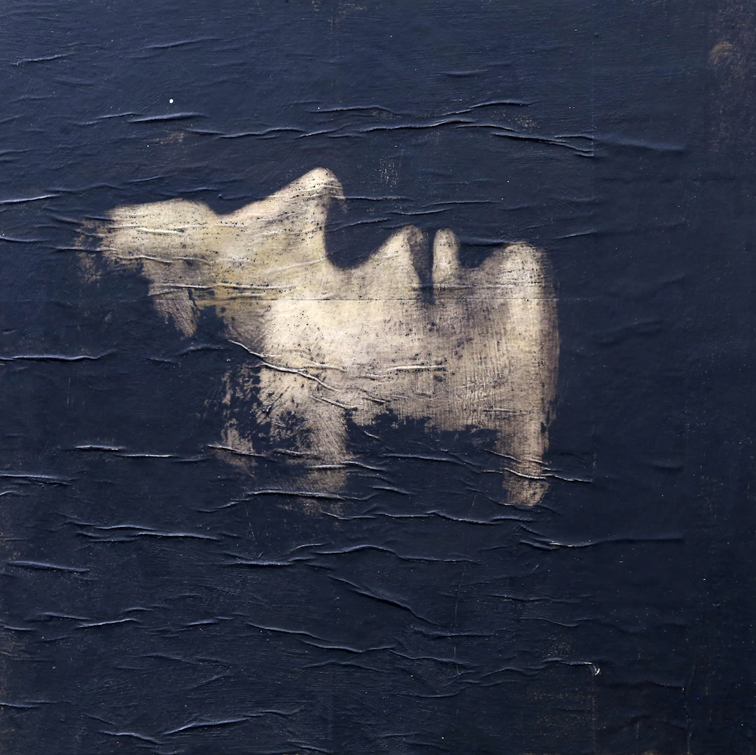 PATRICIO REIG. Untitled.