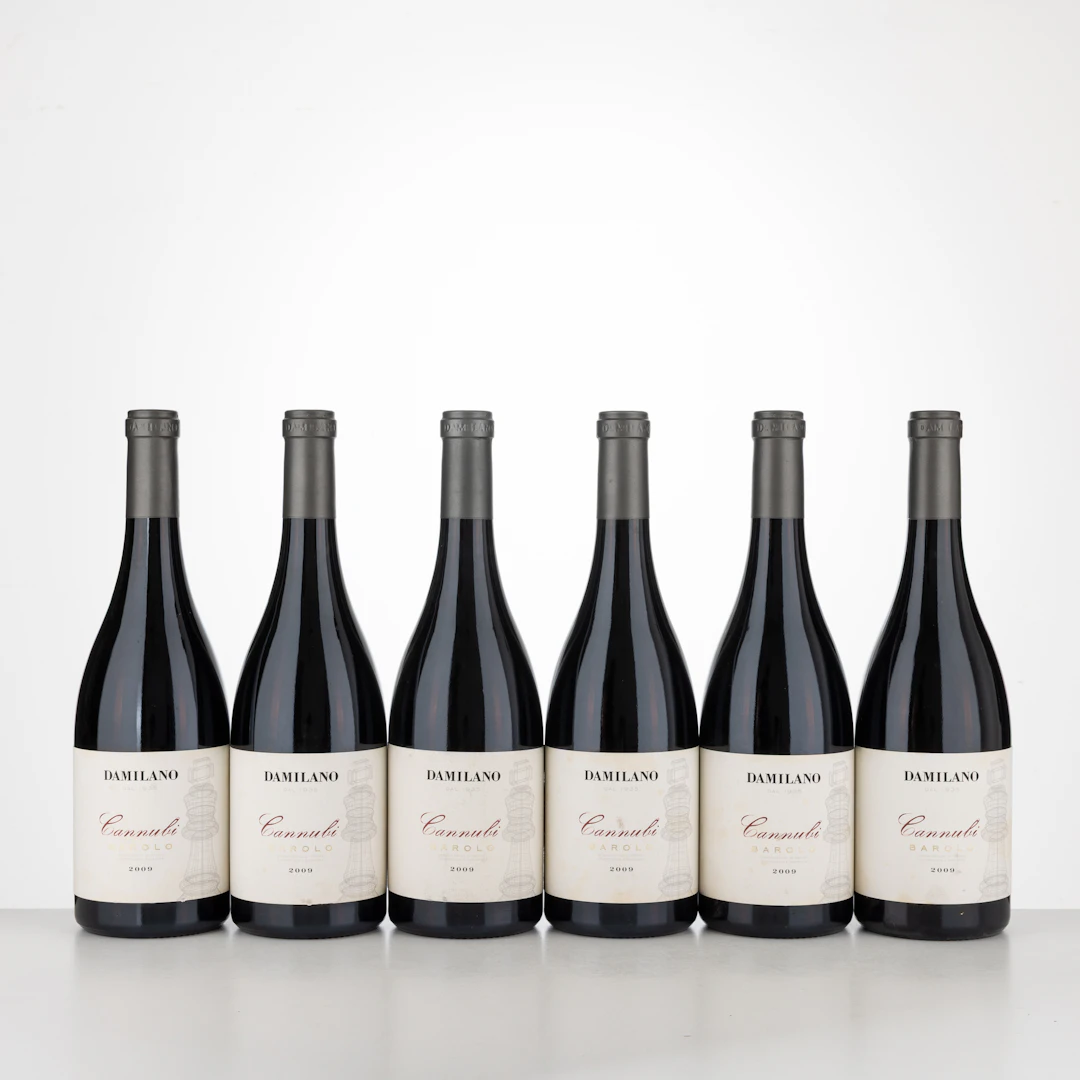 Barolo Cannubi Damilano 2009
