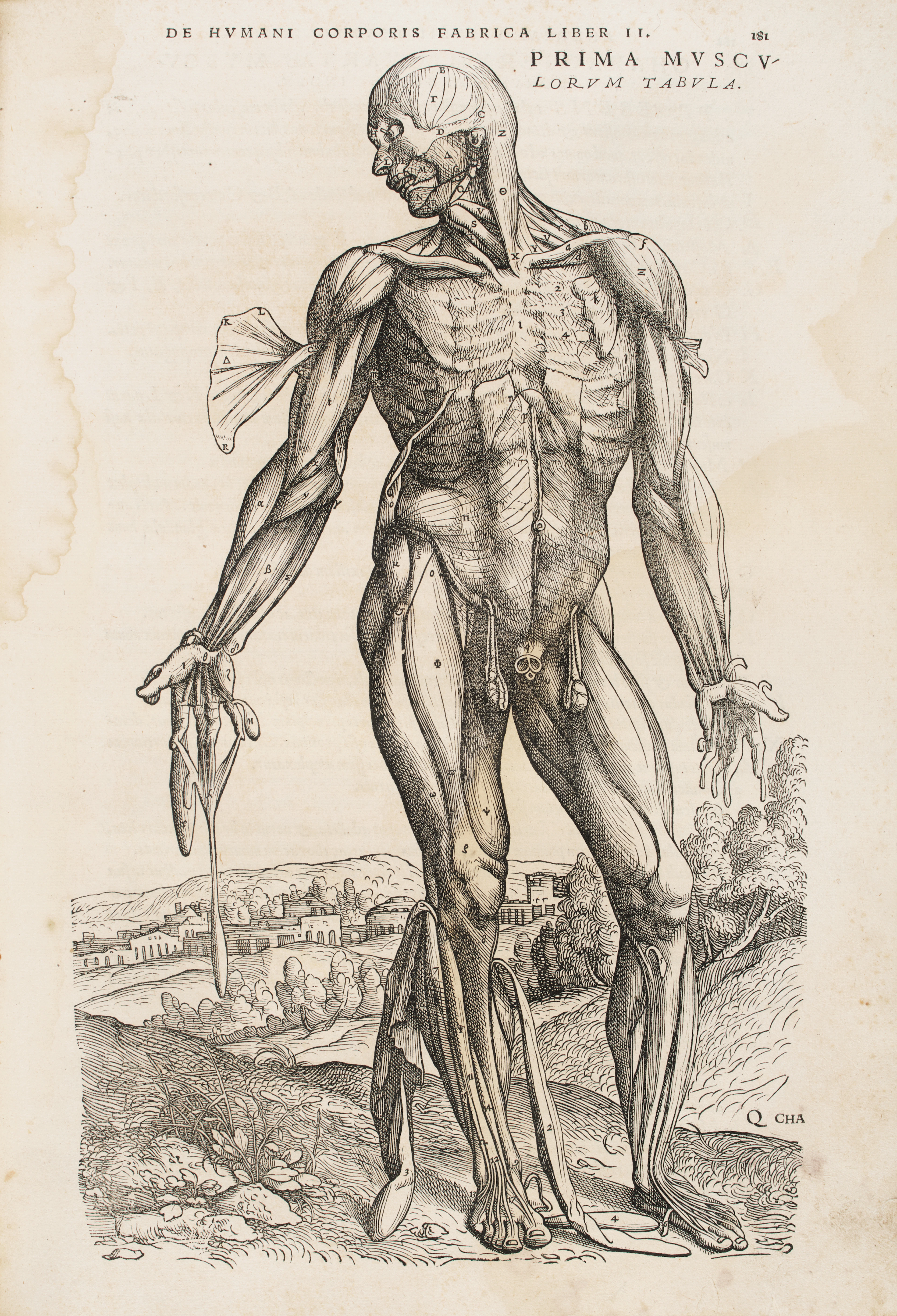VESALIUS, Andreas (1514-1564). De humani corporis fabrica libri septem.