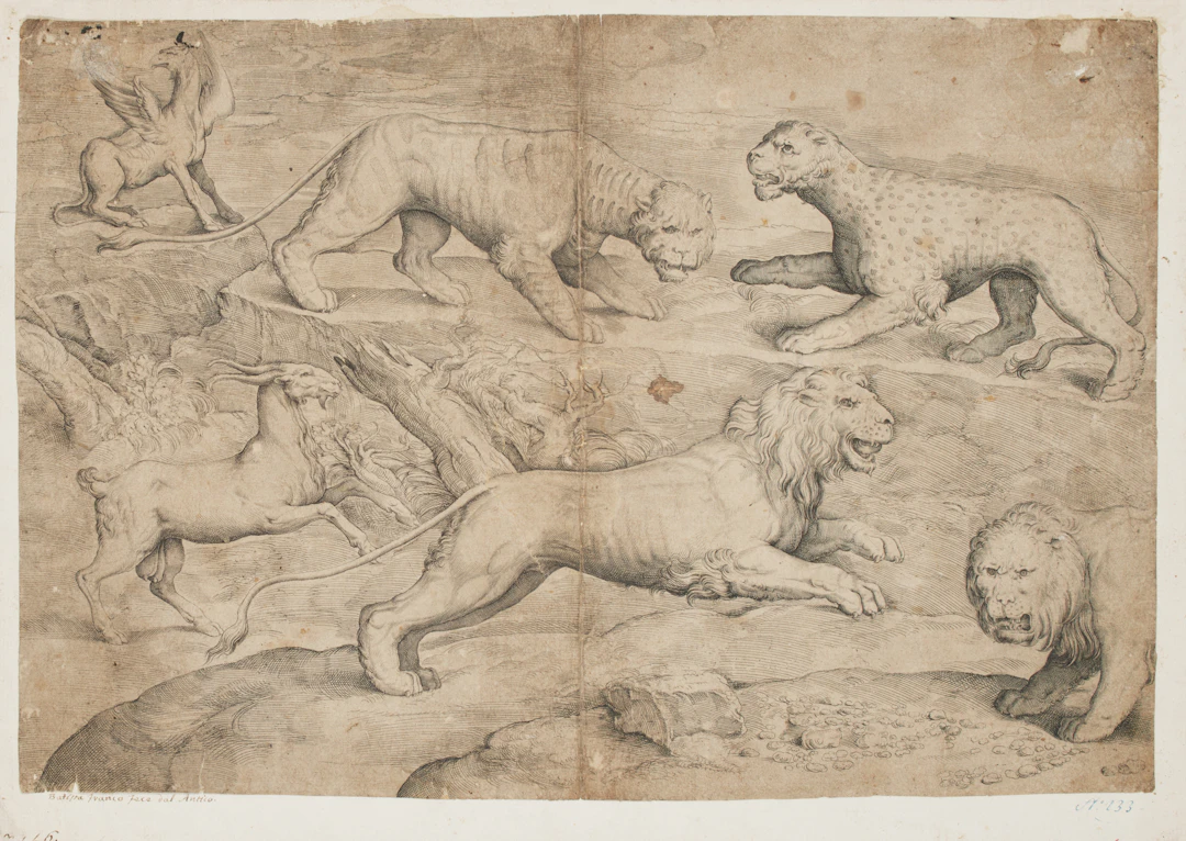 FRANCO, Battista (ca. 1510-1561). Sei animali, tra cui due leoni
