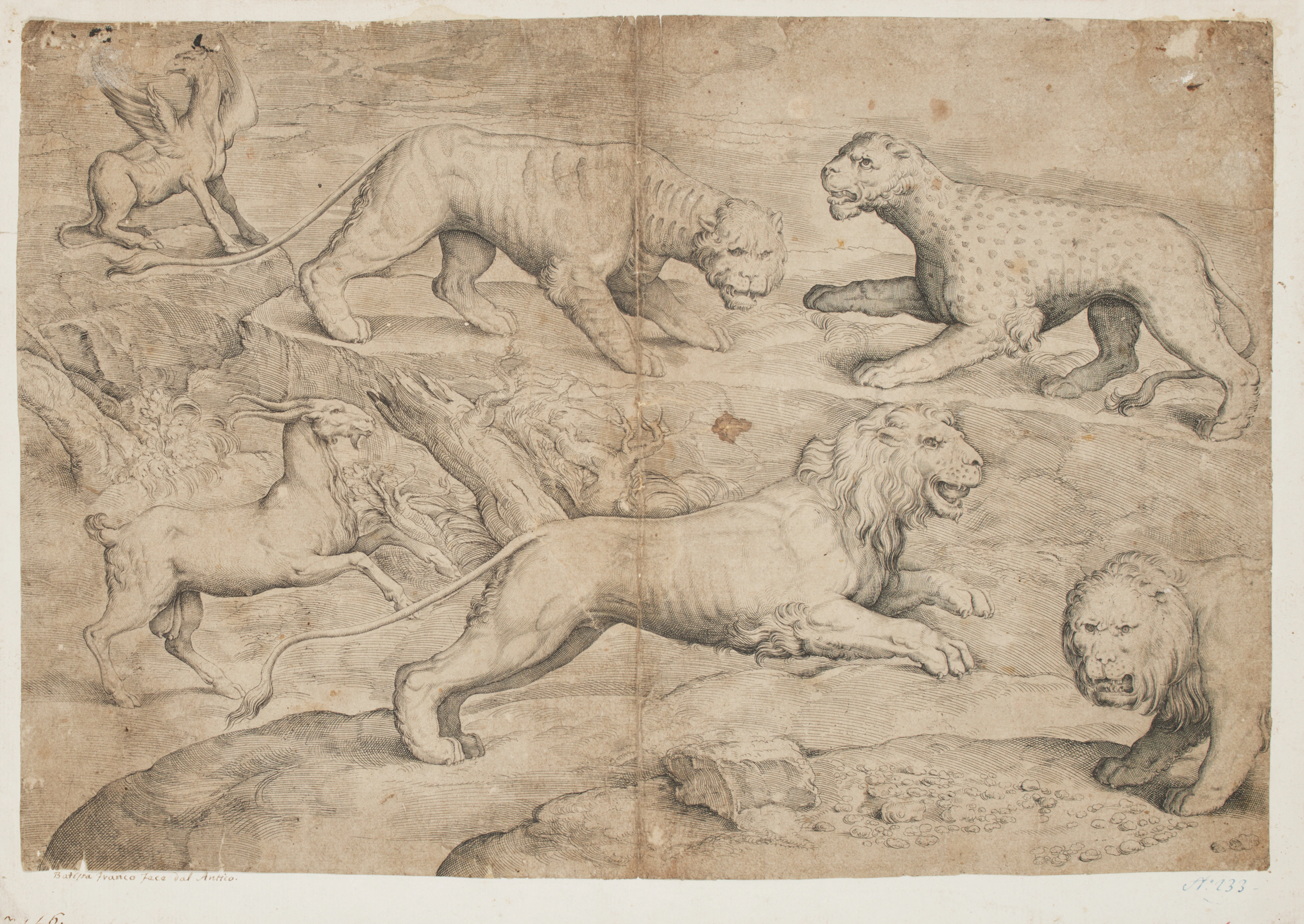 FRANCO, Battista (ca. 1510-1561). Sei animali, tra cui due leoni