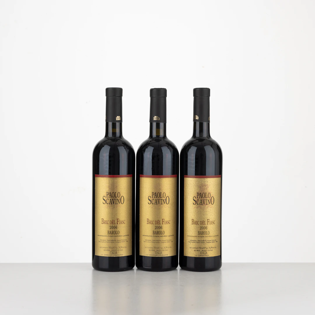 Barolo Bric del Fiasc P. Scavino 2006