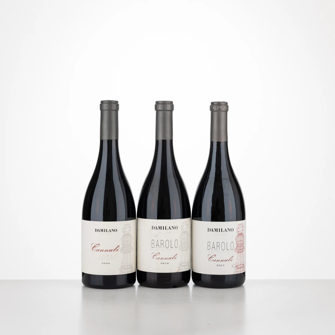 Selezione Barolo Cannubi Damilano