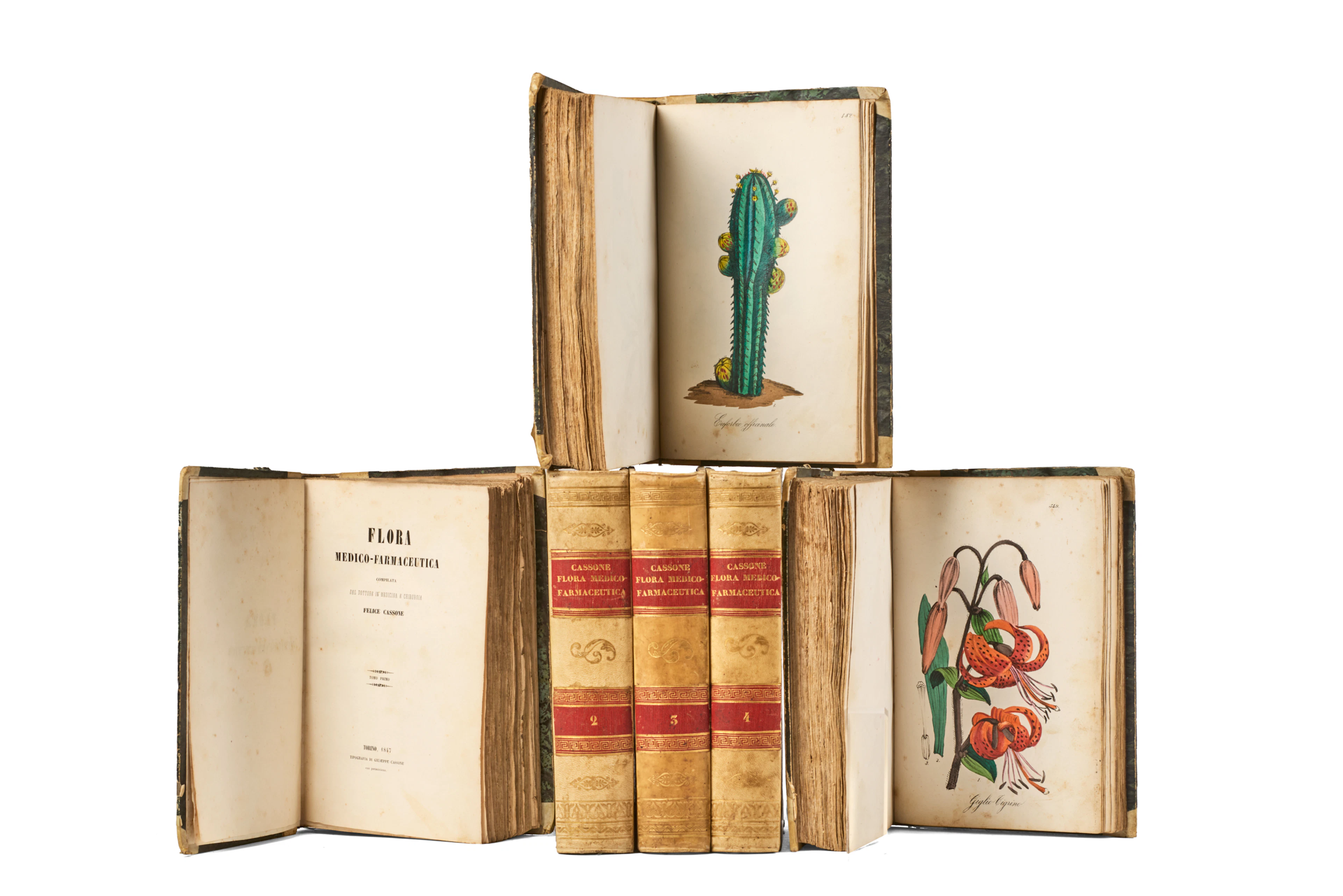 CASSONE, Felice (1815-1854). Flora medico-farmaceutica. Torino: Giuseppe