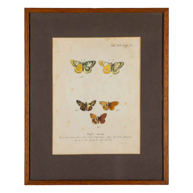 SERIE DI DIECI STAMPE, XVIII-XIX SECOLO