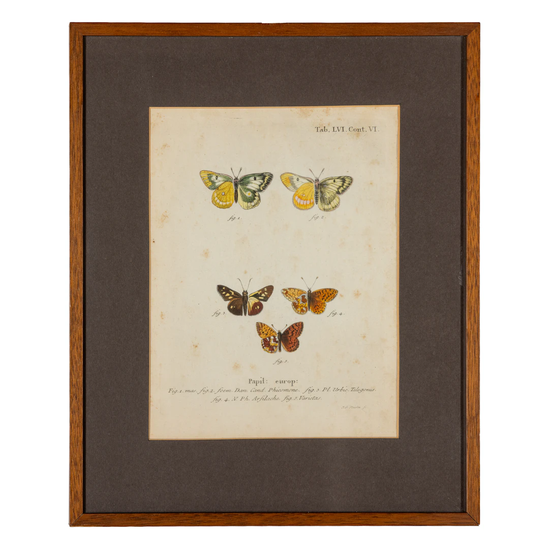 SERIE DI DIECI STAMPE, XVIII-XIX SECOLO