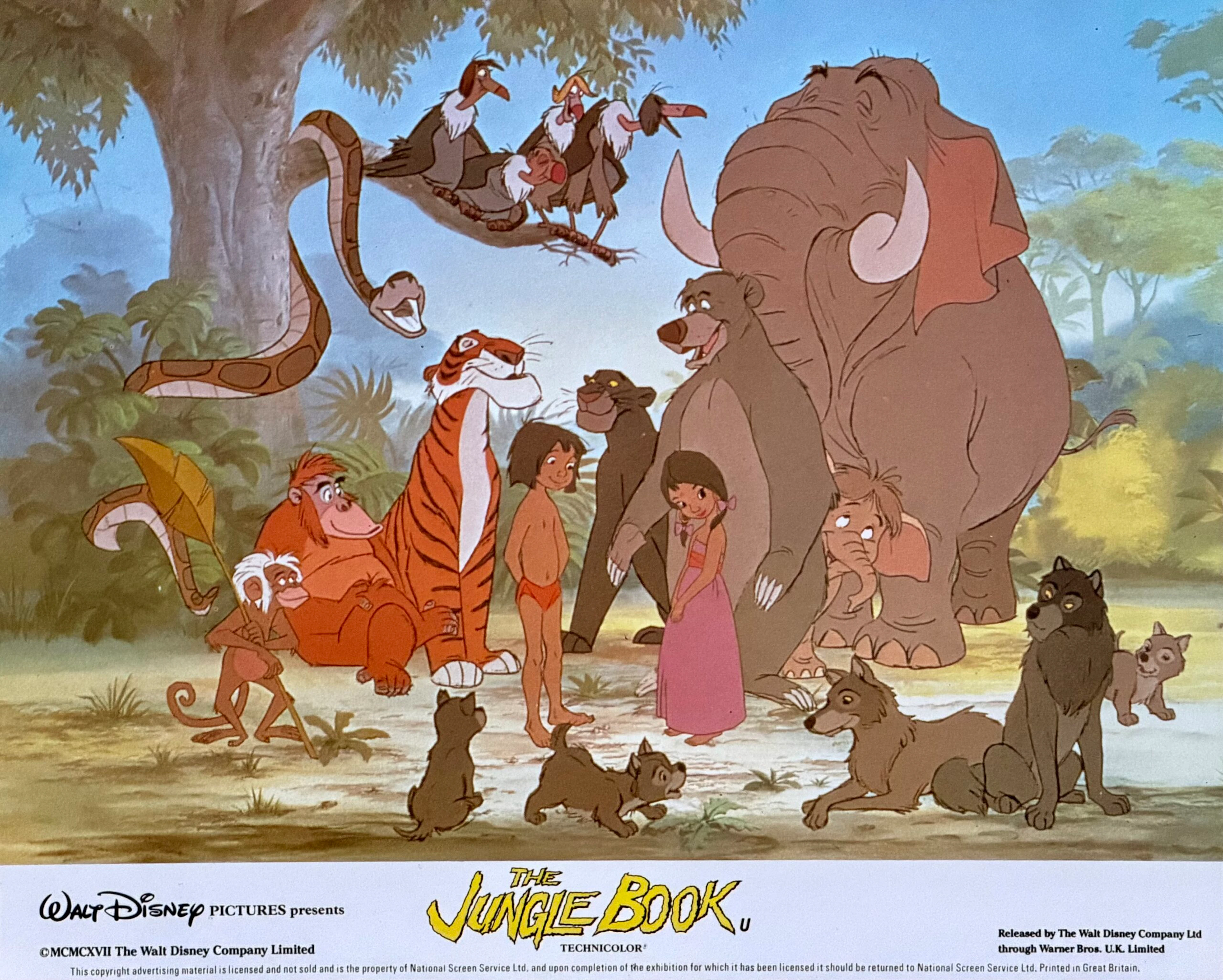 The Jungle Book Movie Poster - Walt Disney - Baloo - Mowgli