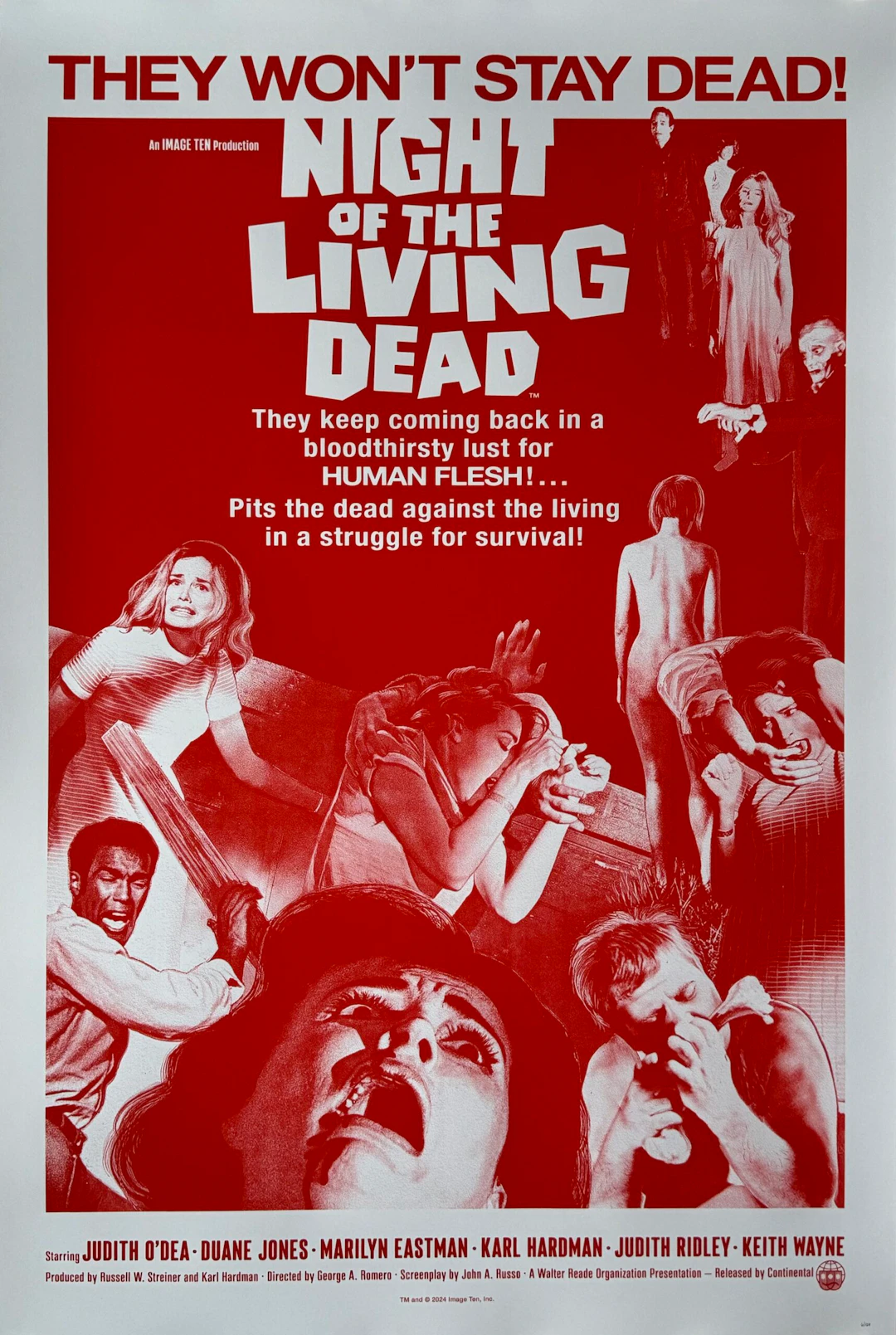 Original Night of the Living Dead Alternative Movie Poster - Zombie