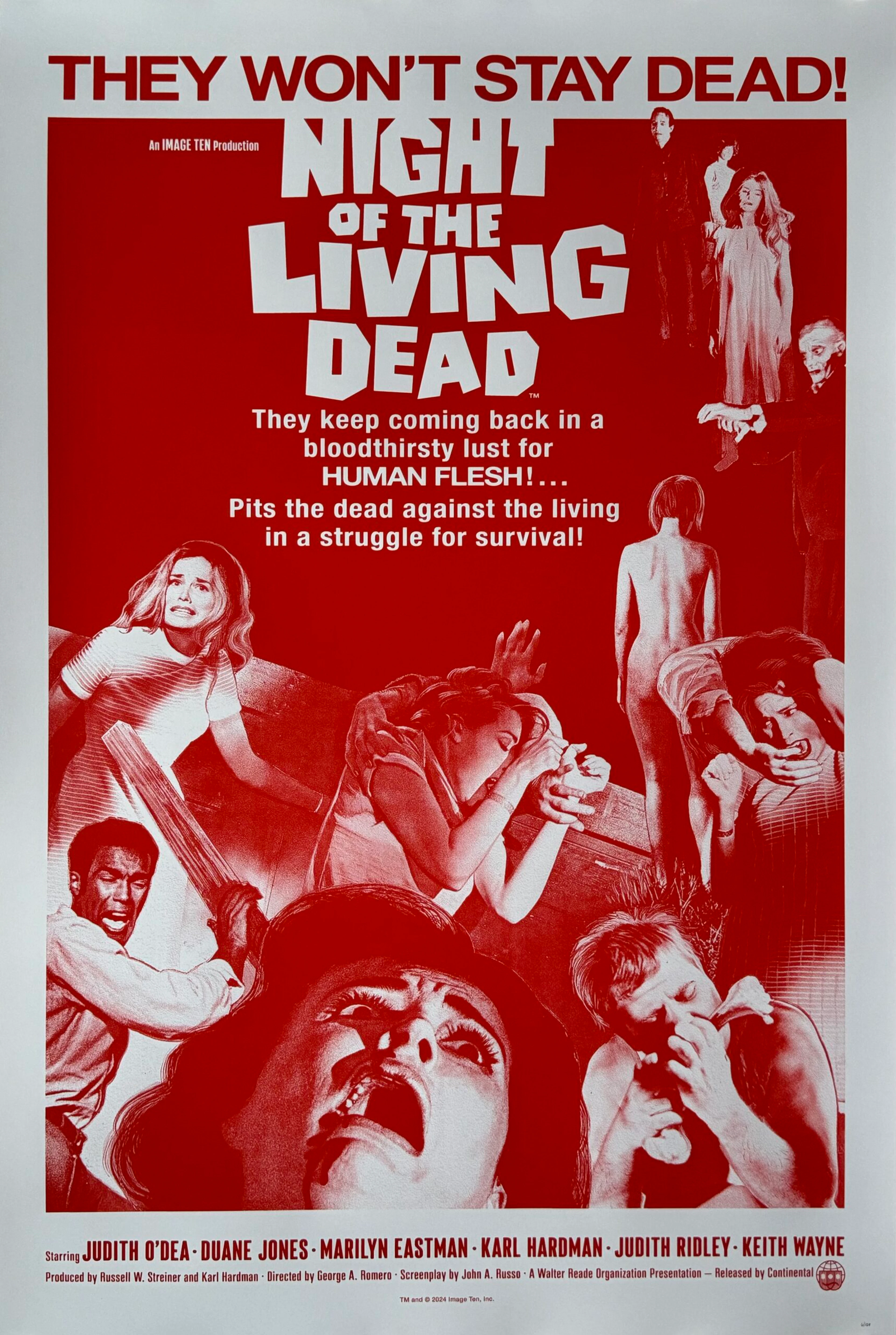 Original Night of the Living Dead Alternative Movie Poster - Zombie