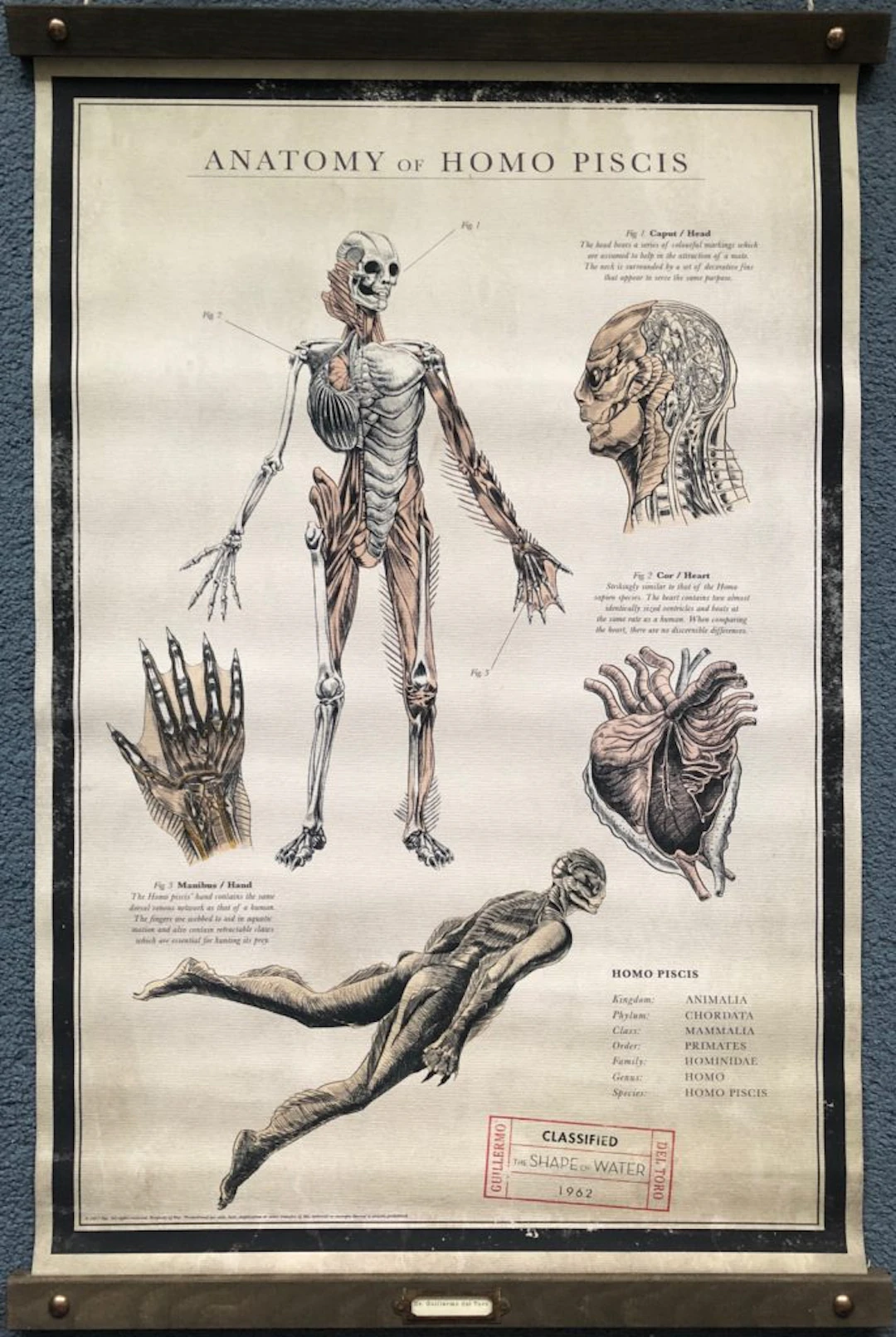 The Shape of Water Movie Poster - Guillermo Del Toro - Sci Fi - Doug Jones