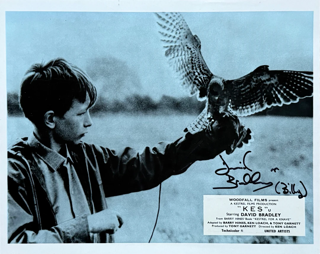 Original KES Movie Poster - David Bradley - Ken Loach - Drama