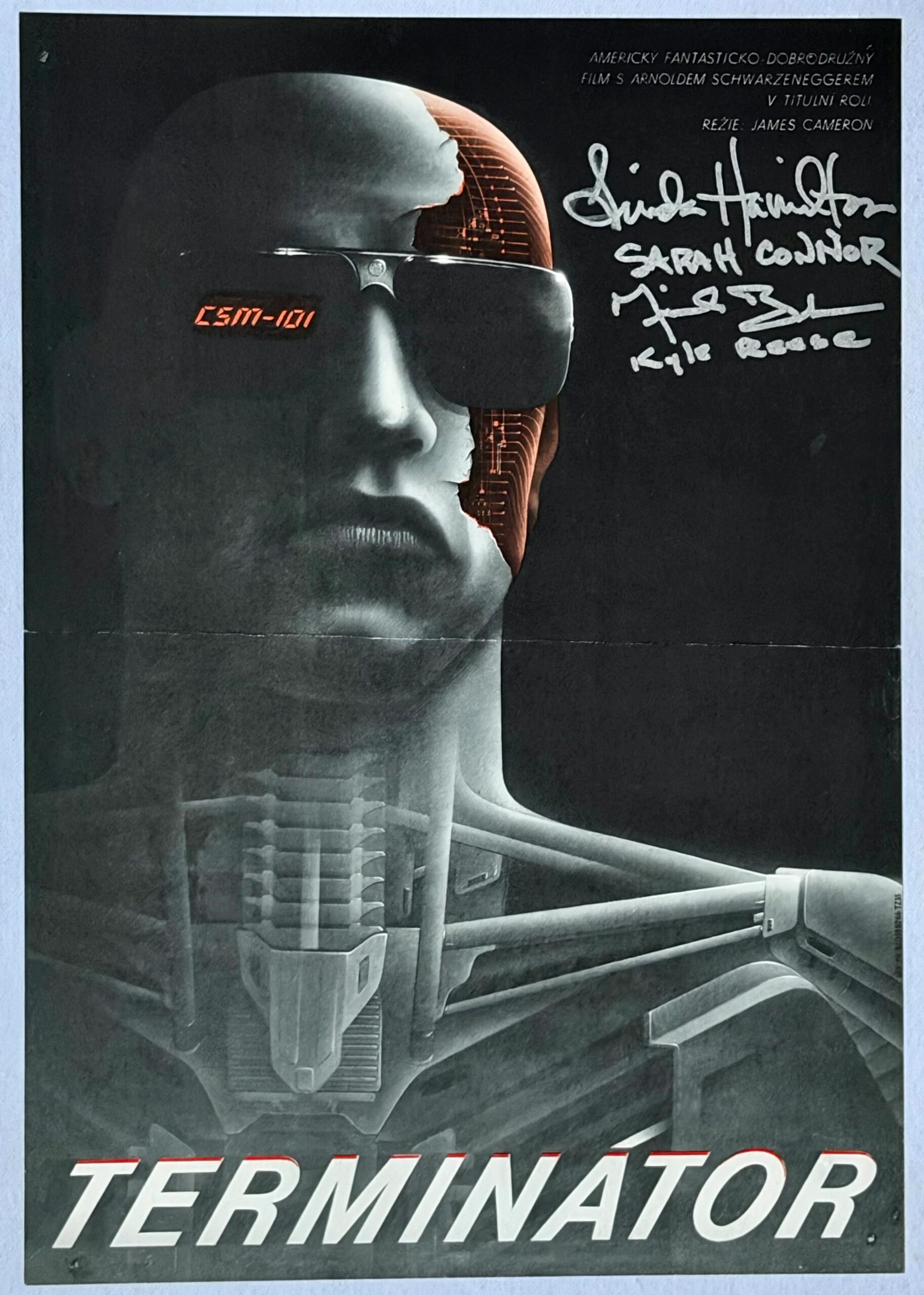 Original The Terminator Movie Poster - Arnold Schwarzenegger