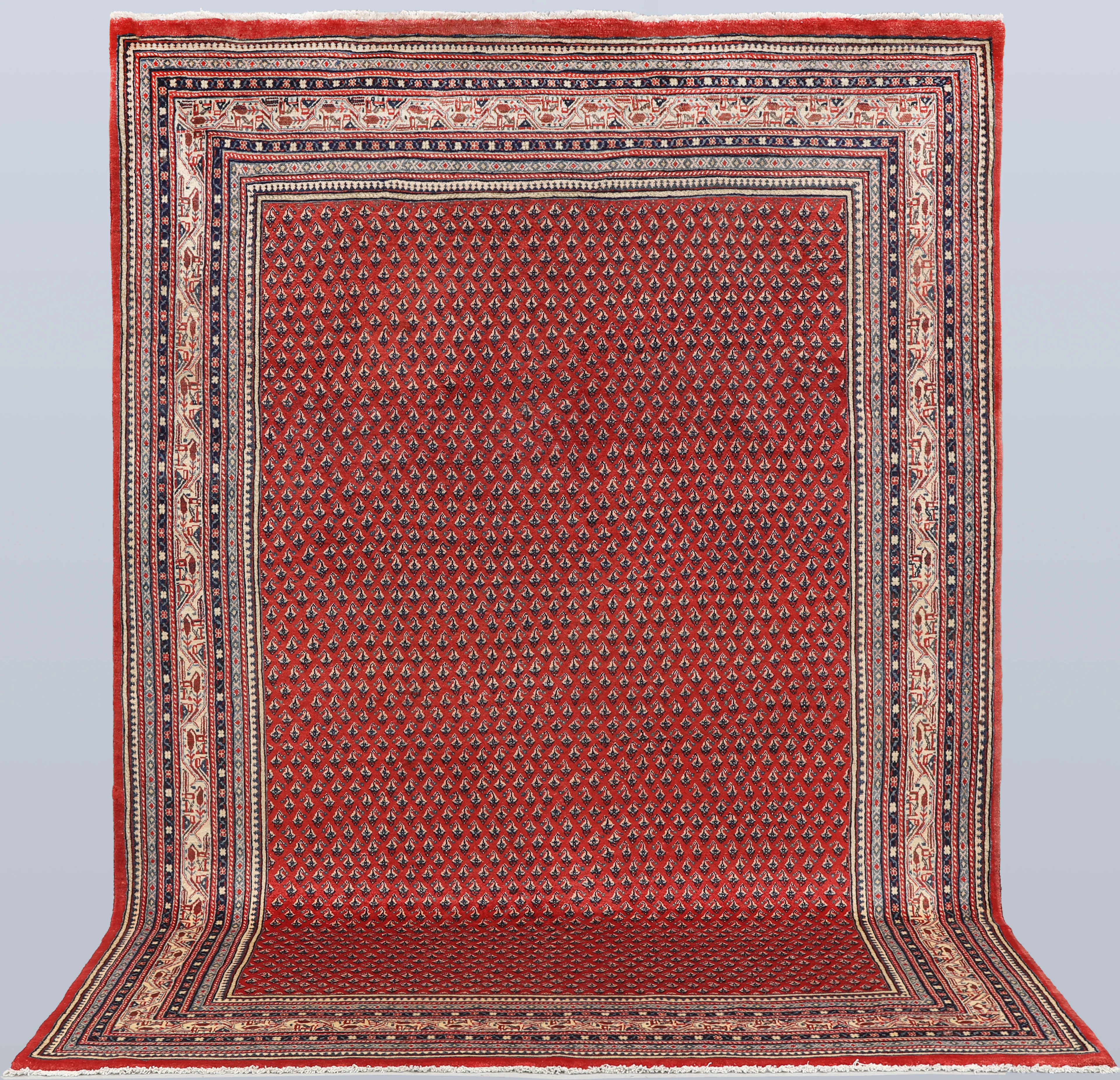 MATTA. Saruk Mir, 320 x 212 cm.