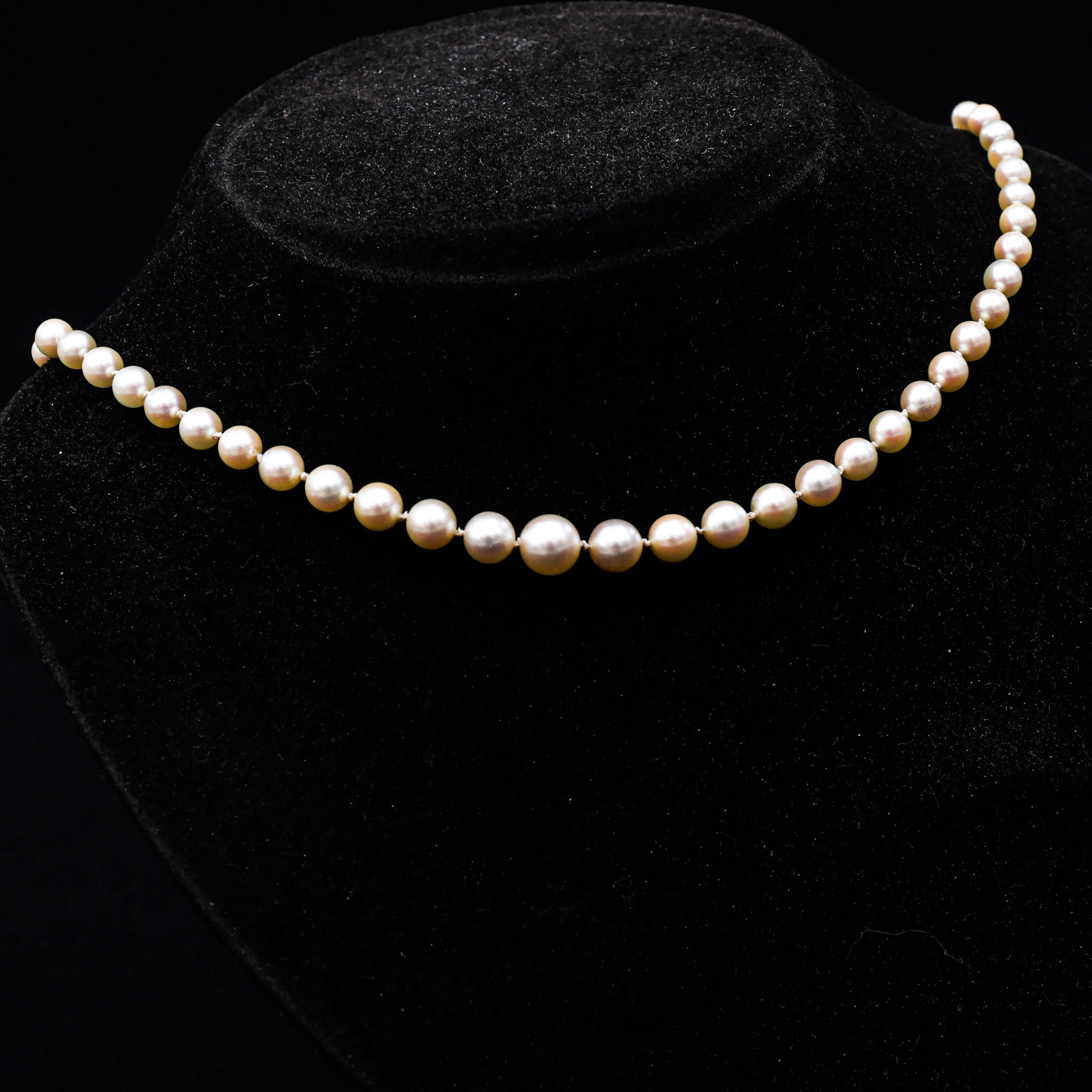 COLLIER, doserat, pärlhalsband, silverlås.