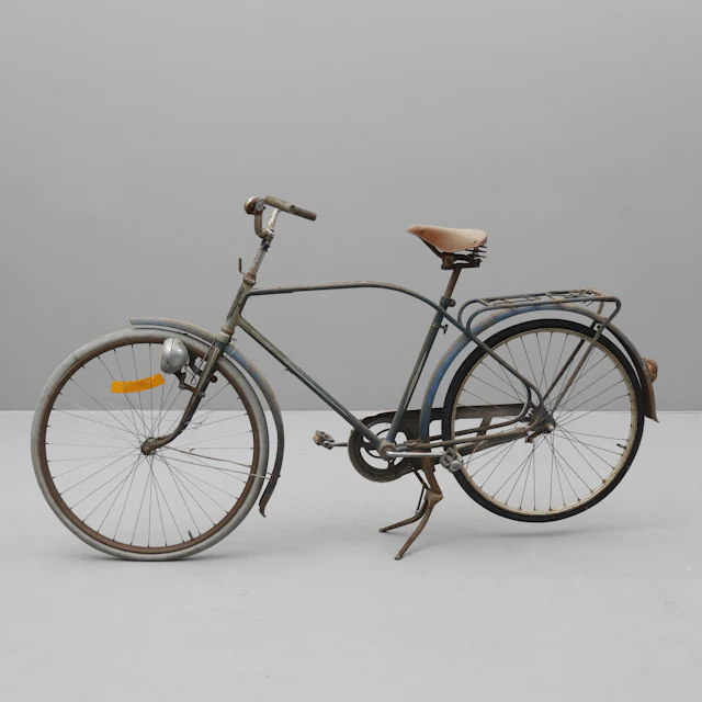 CYKEL, herr-modell, Rex Duplex.