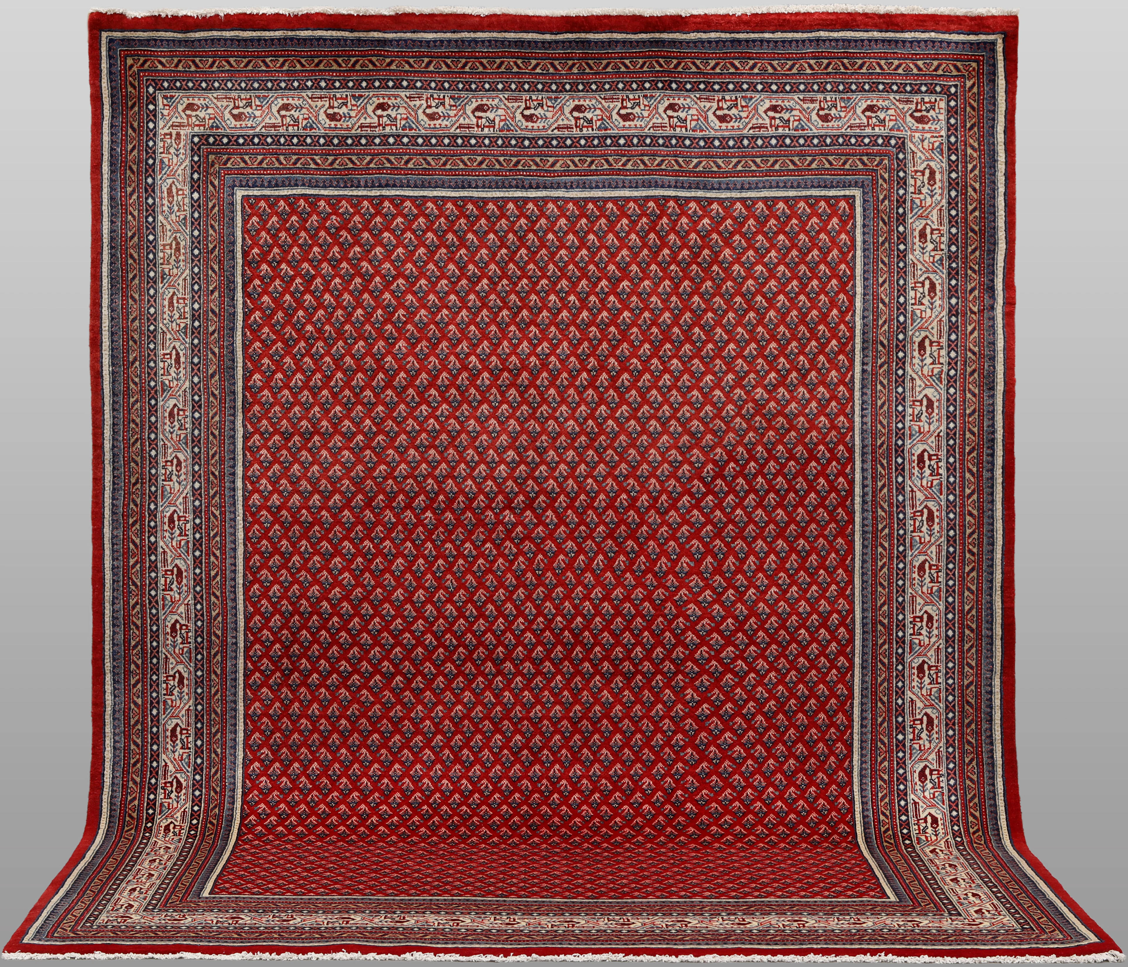 MATTA. Saruk Mir, 278 x 214 cm.
