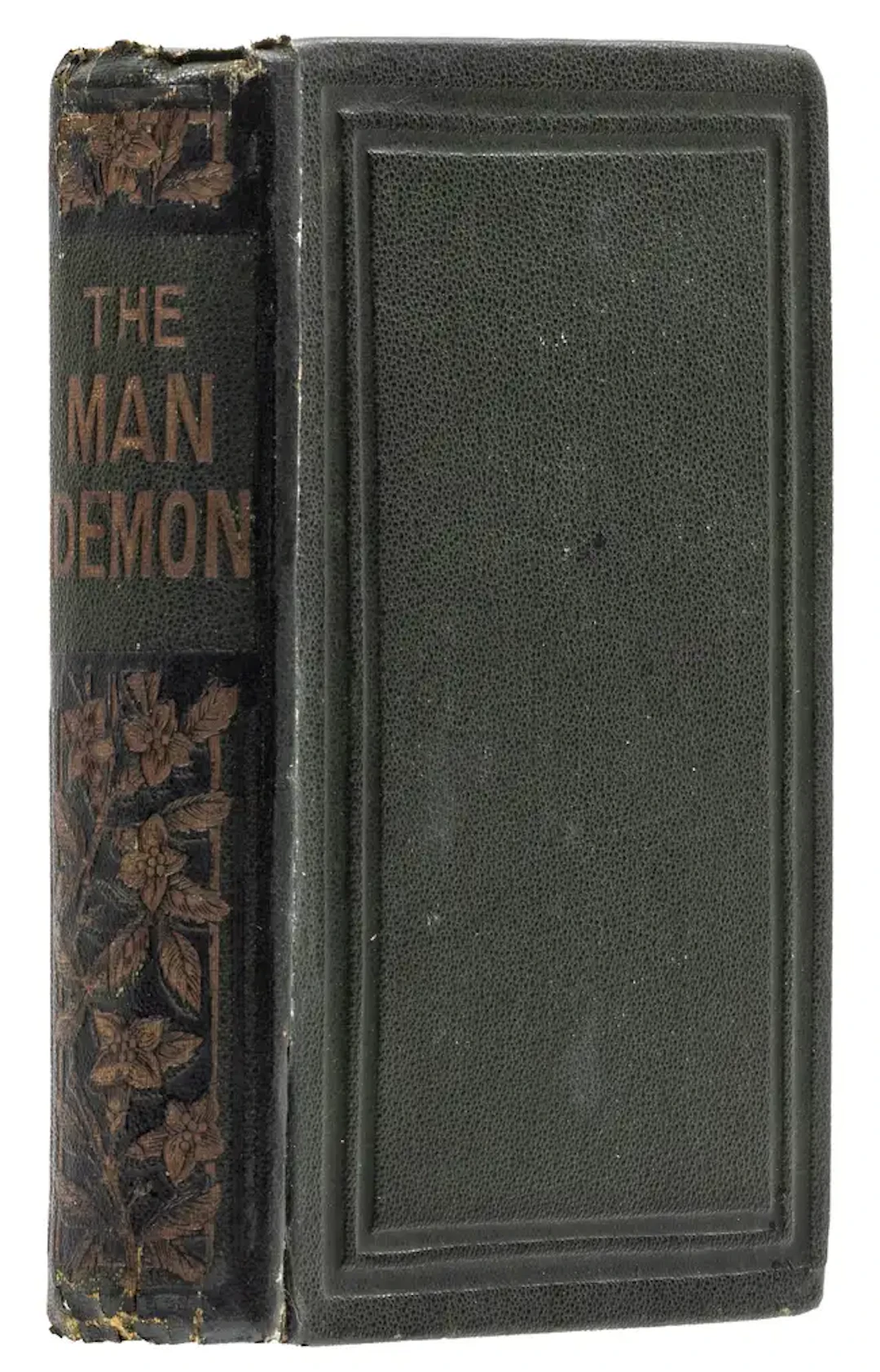 Shelley (Mary Wollstonecraft) Frankenstein: The Modern Man-Demon
