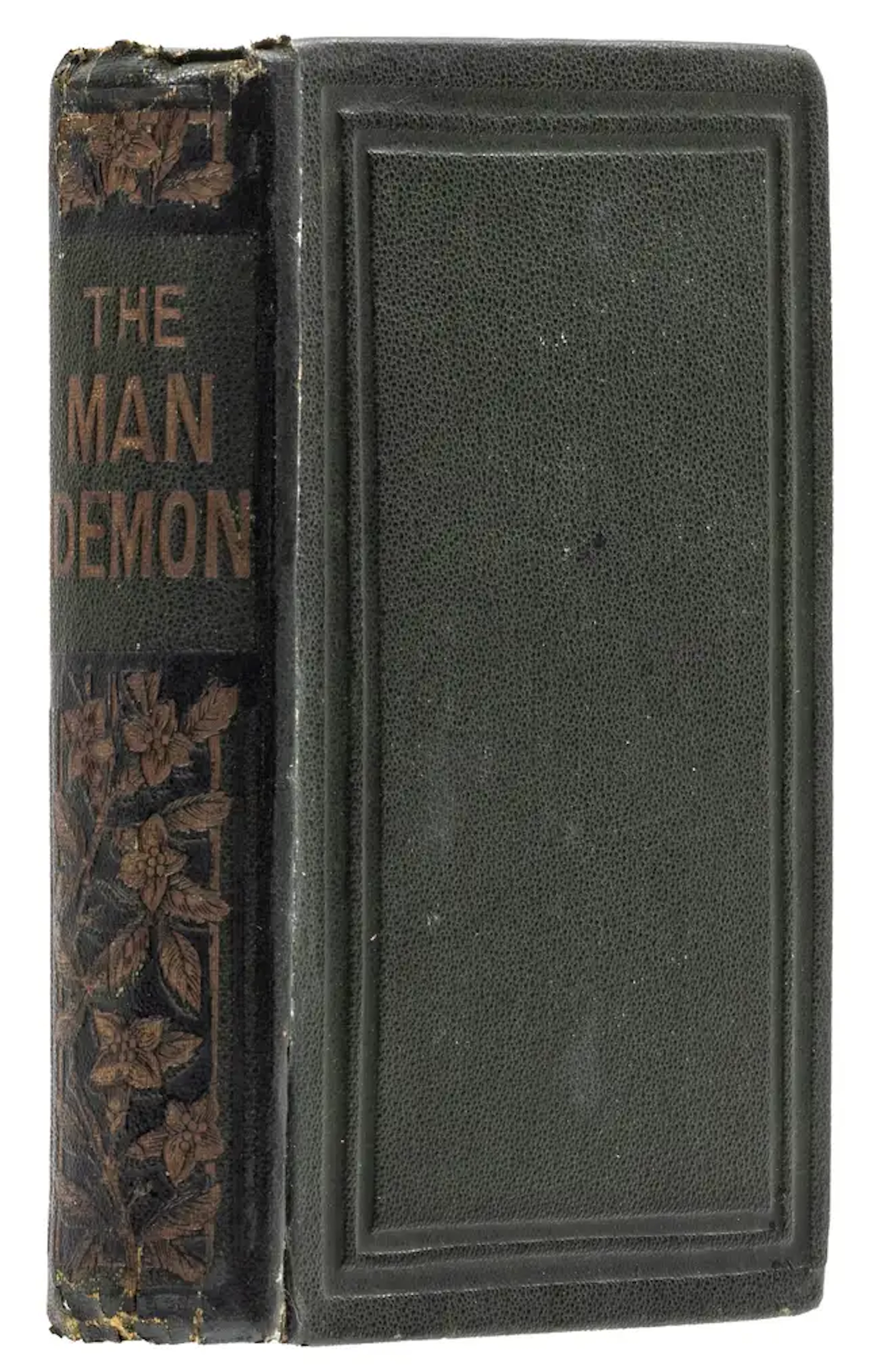 Shelley (Mary Wollstonecraft) Frankenstein: The Modern Man-Demon