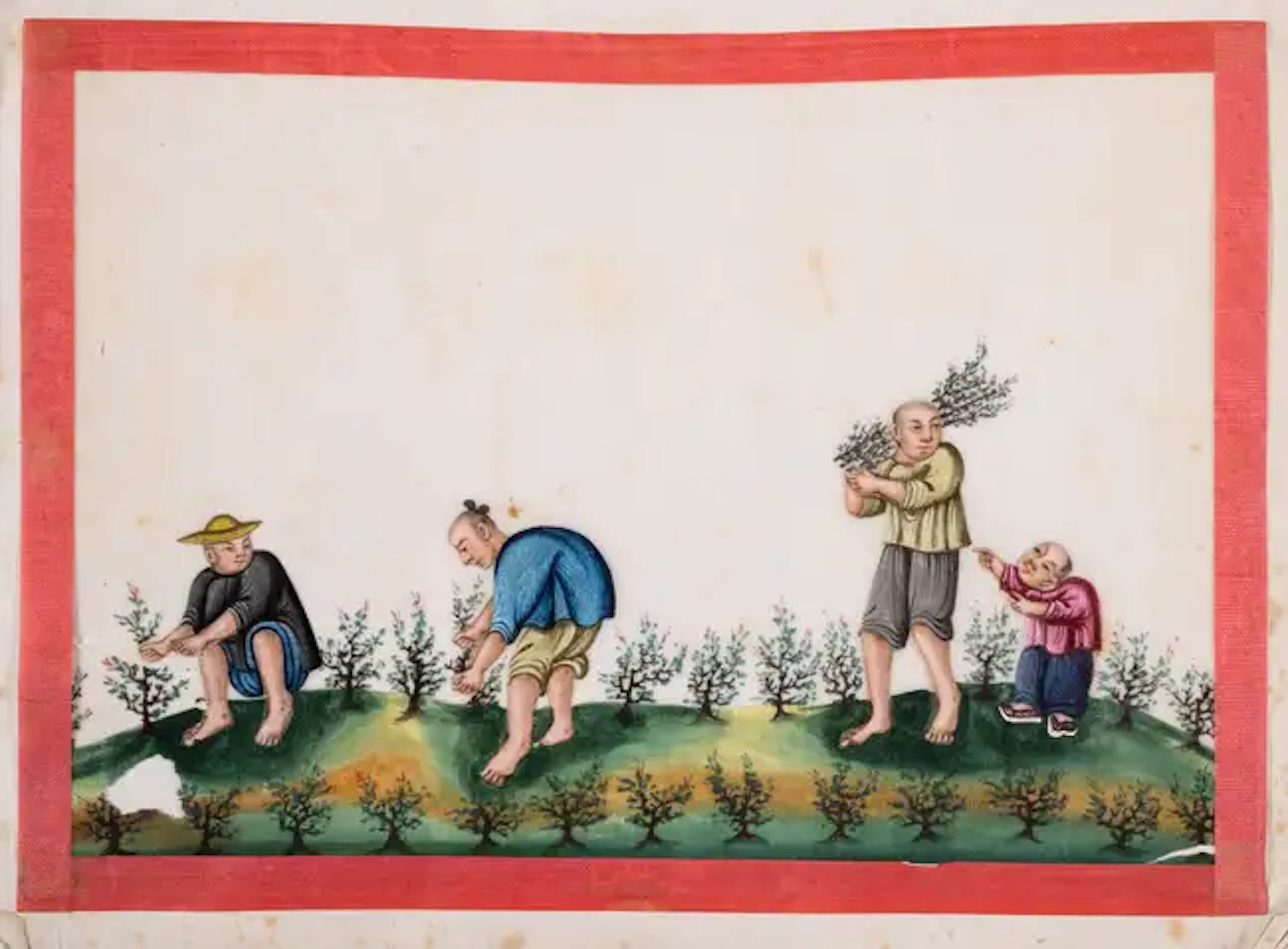 China.- Tea Production.- Chinese Export School.- Album of watercolours