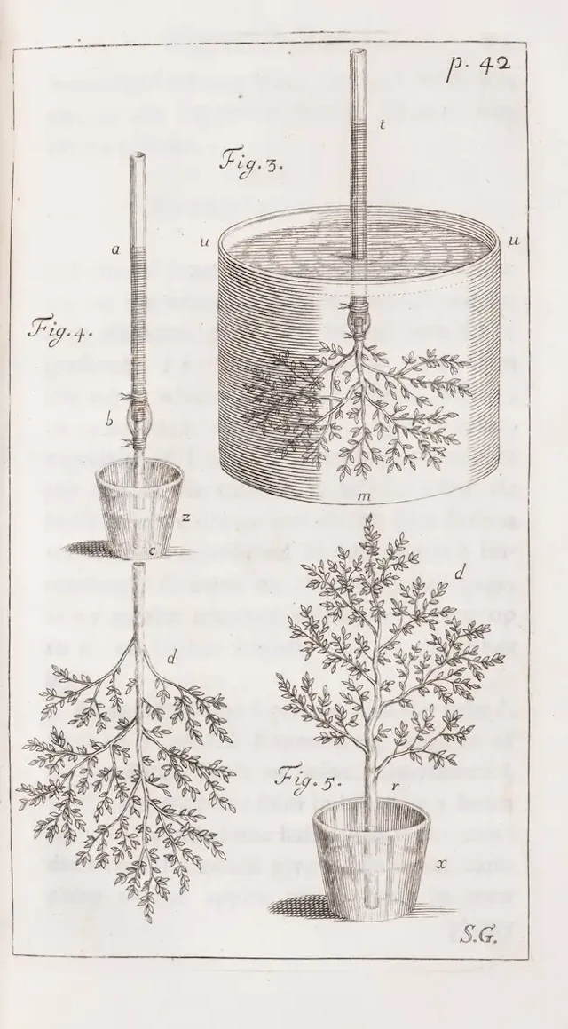 Botany.- Hales (Stephen) Vegetable Staticks: Or, An Account of some