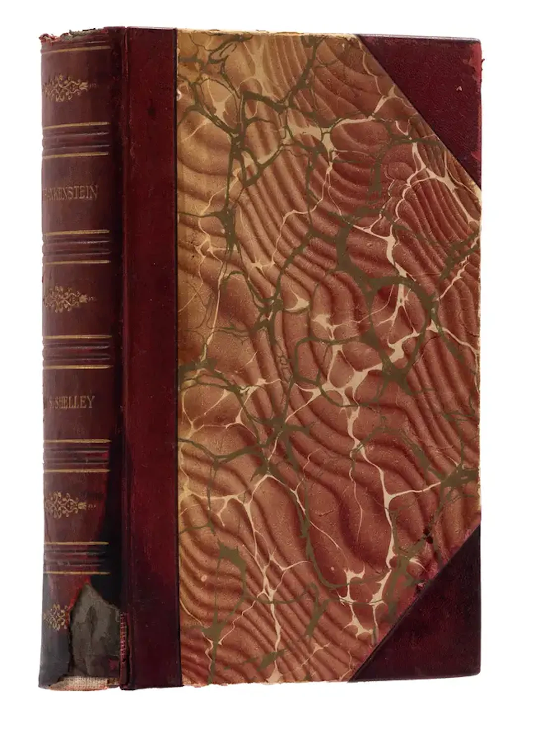 Shelley (Mary Wollstonecraft) Frankenstein or The Modern Prometheus