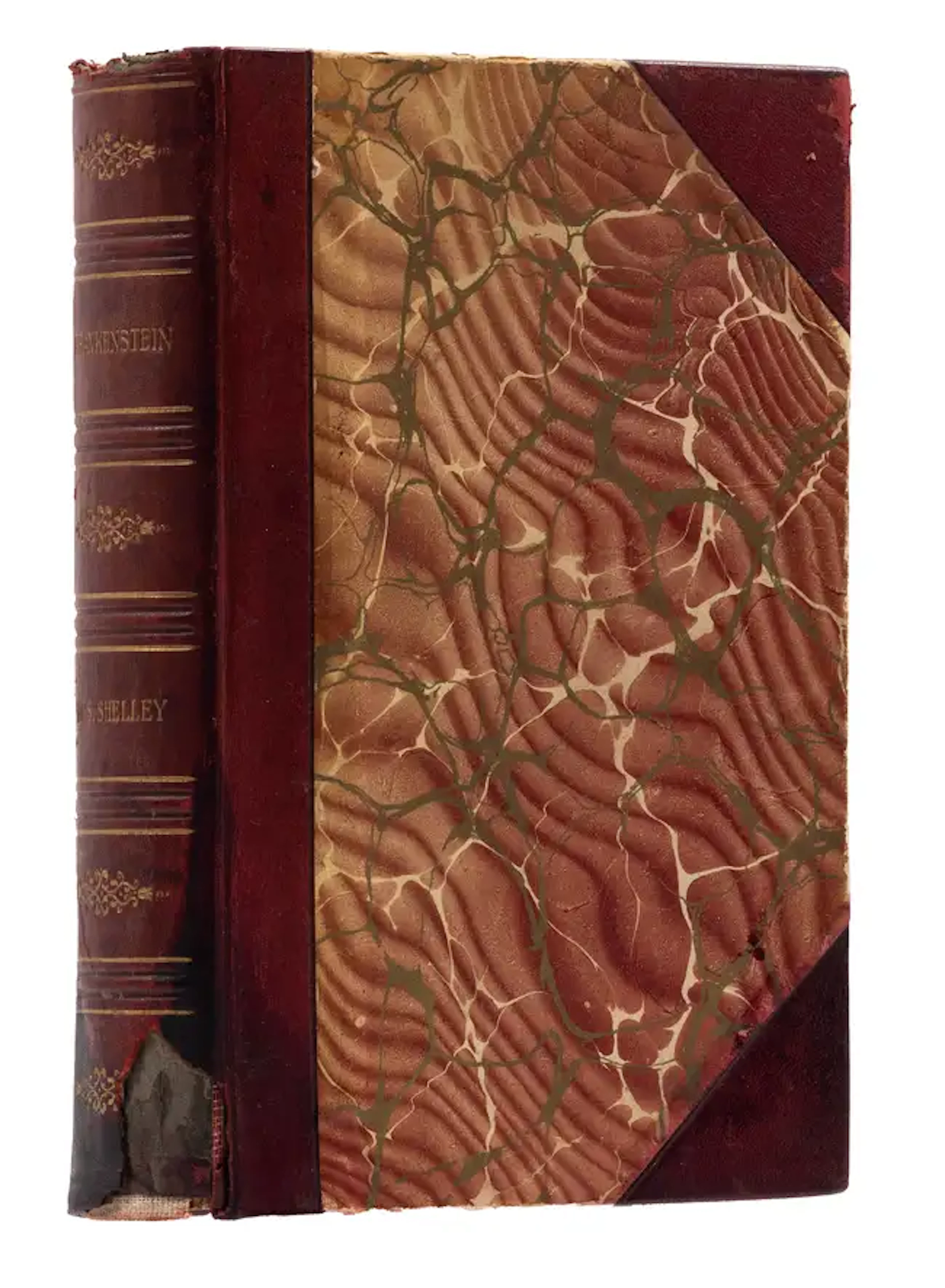 Shelley (Mary Wollstonecraft) Frankenstein or The Modern Prometheus