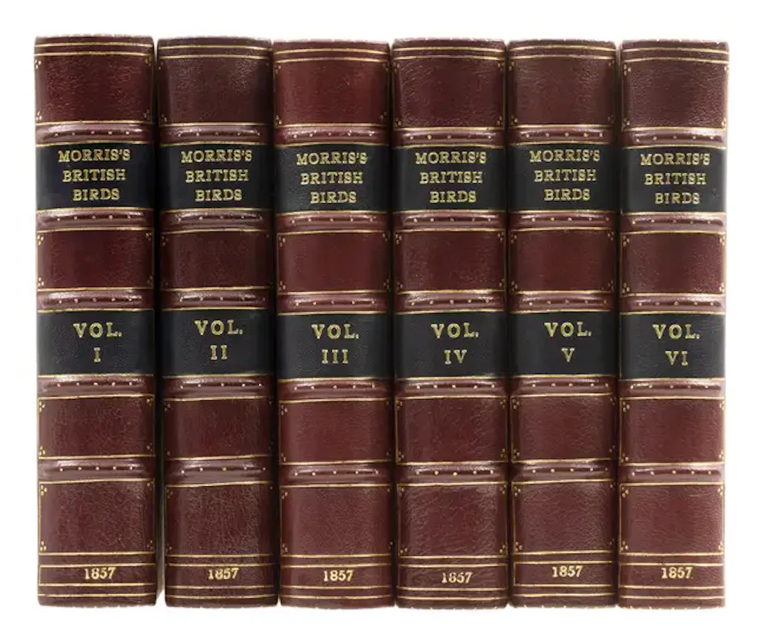 Birds.- Morris (Rev. F.O.) A History of British Birds, 6 vol., Bell