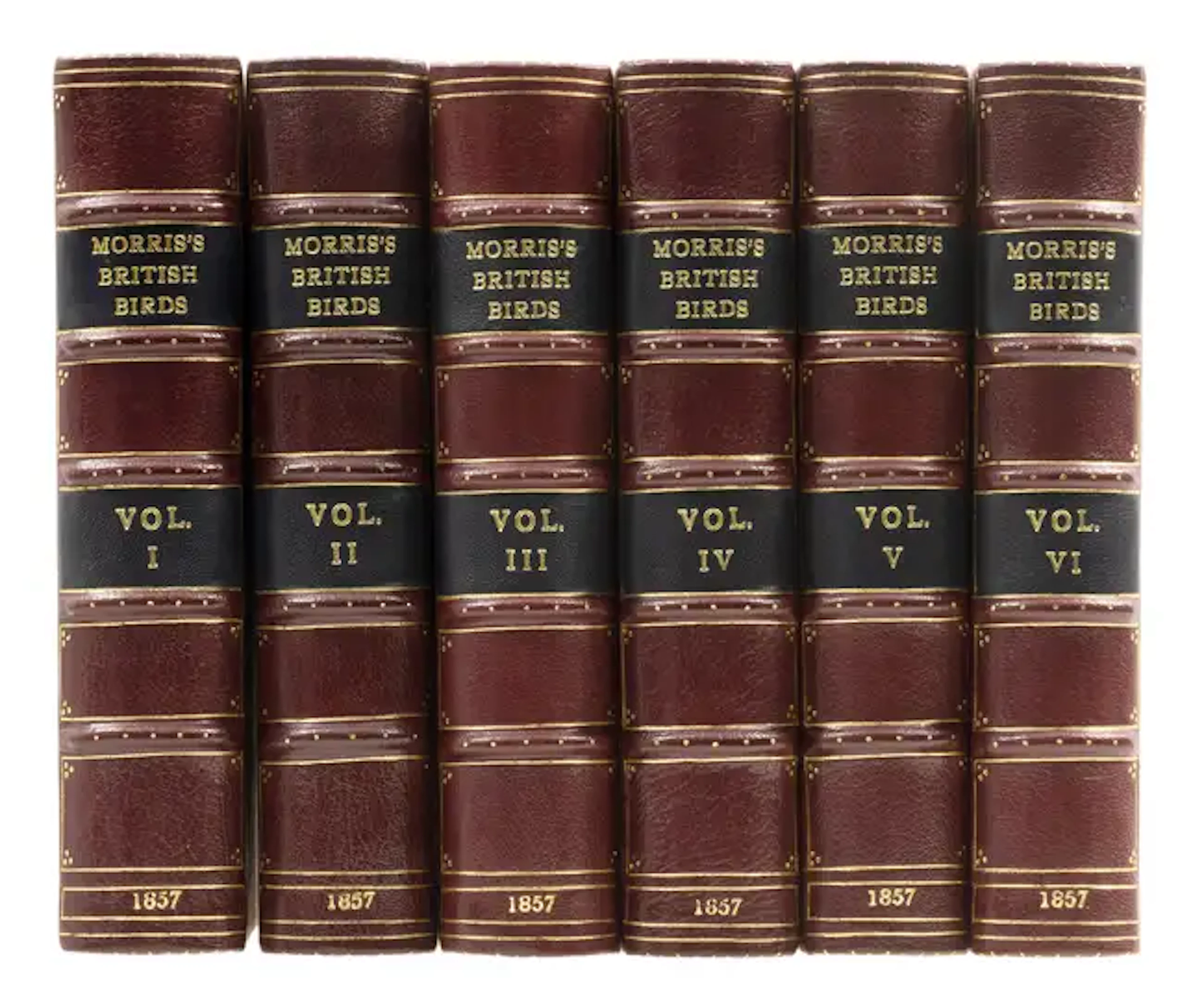 Birds.- Morris (Rev. F.O.) A History of British Birds, 6 vol., Bell