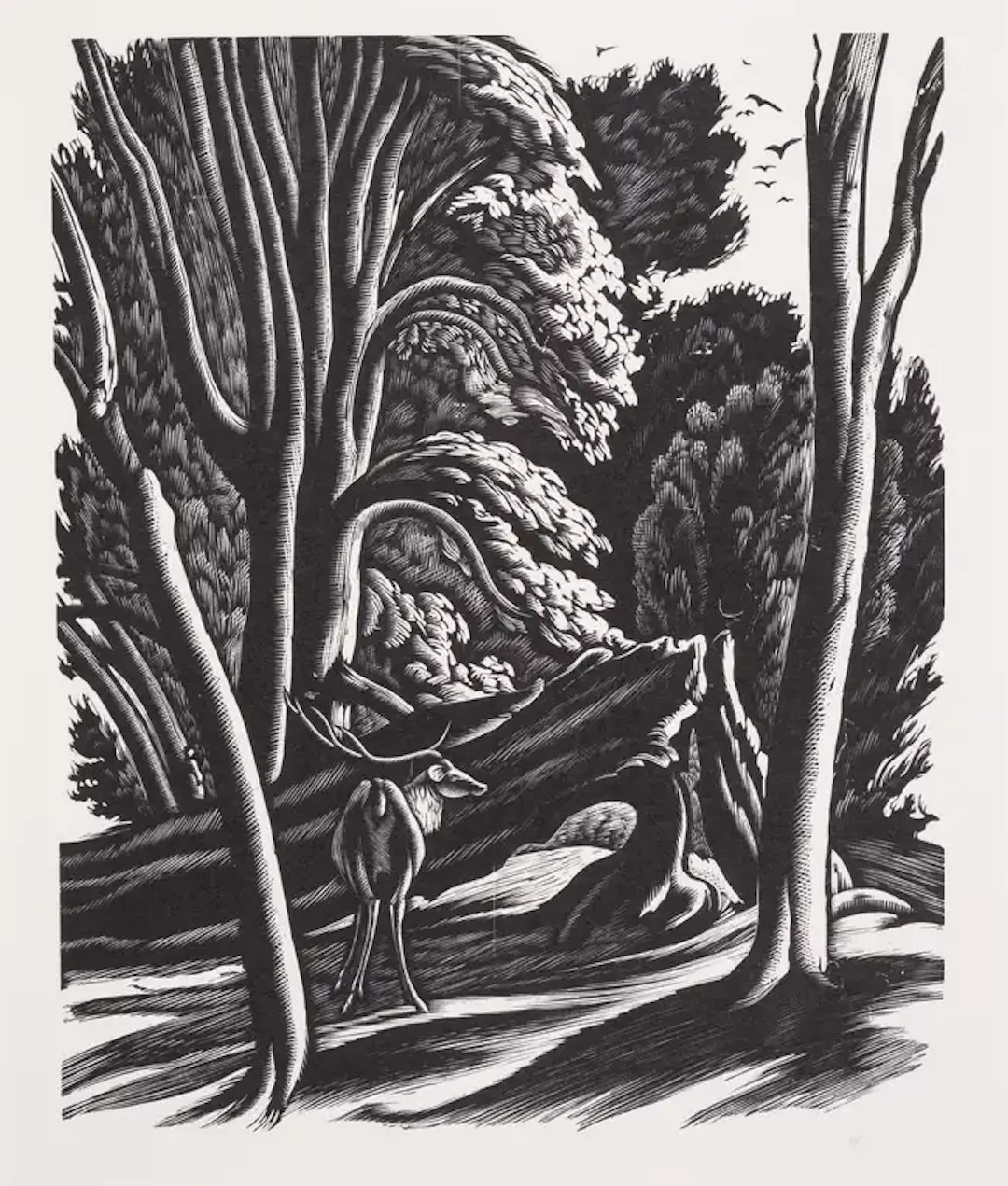 Fleece Press.- Chapman (Hilary) The Wood Engravings of Ethelbert White