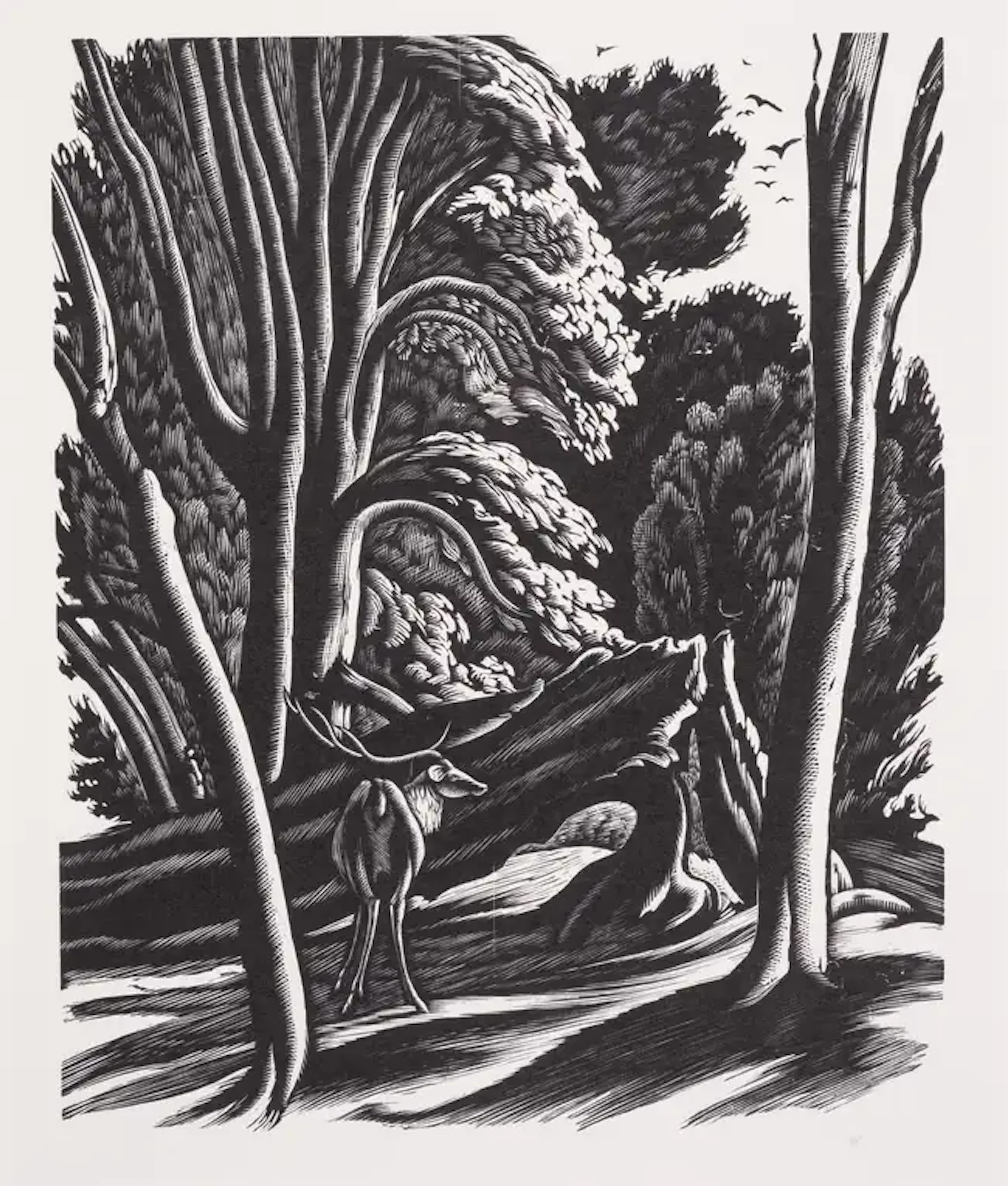 Fleece Press.- Chapman (Hilary) The Wood Engravings of Ethelbert White