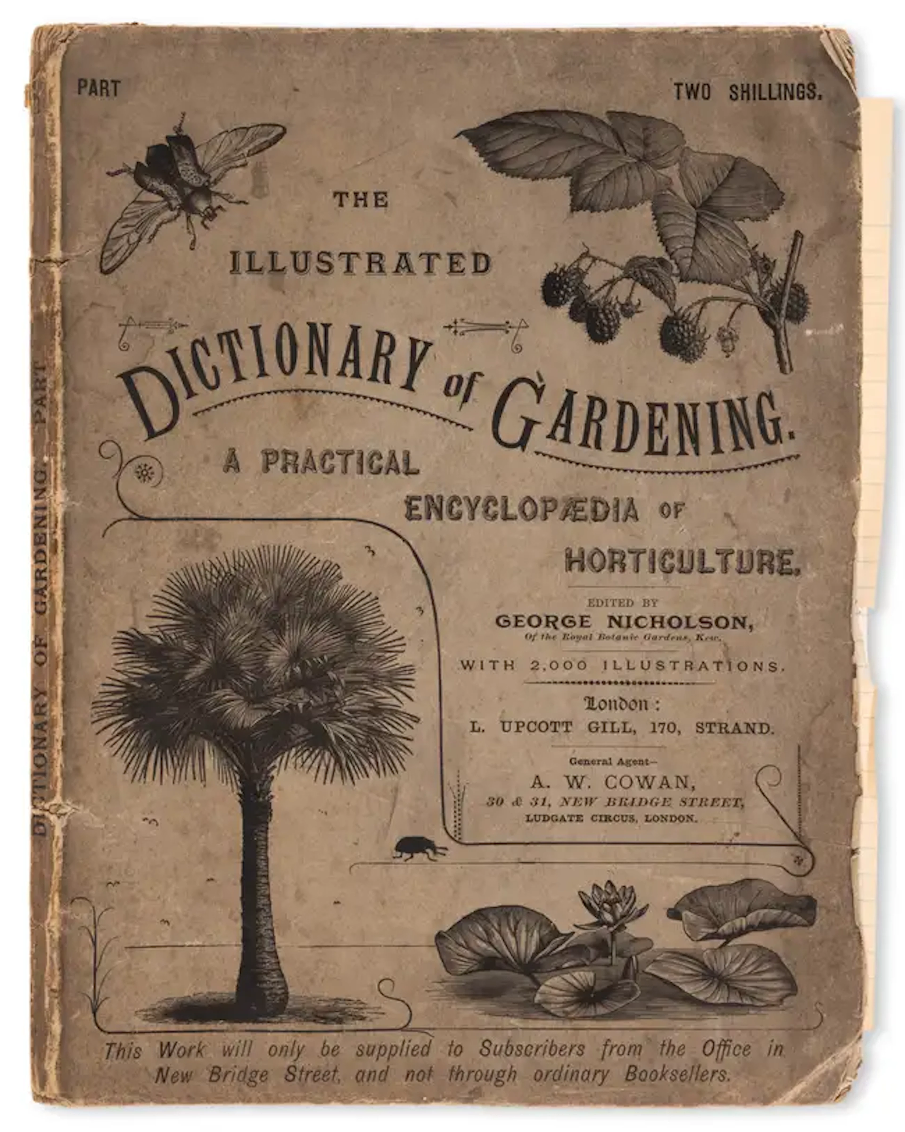 Gardening and Botanical.- Nicholson (George) The Illustrated Dictionary