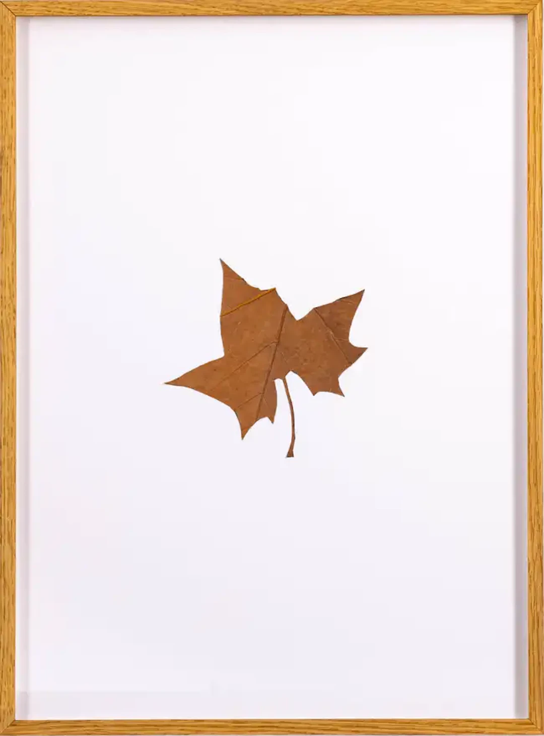 Amikam Toren (b.1945) Hybrids (VIII)