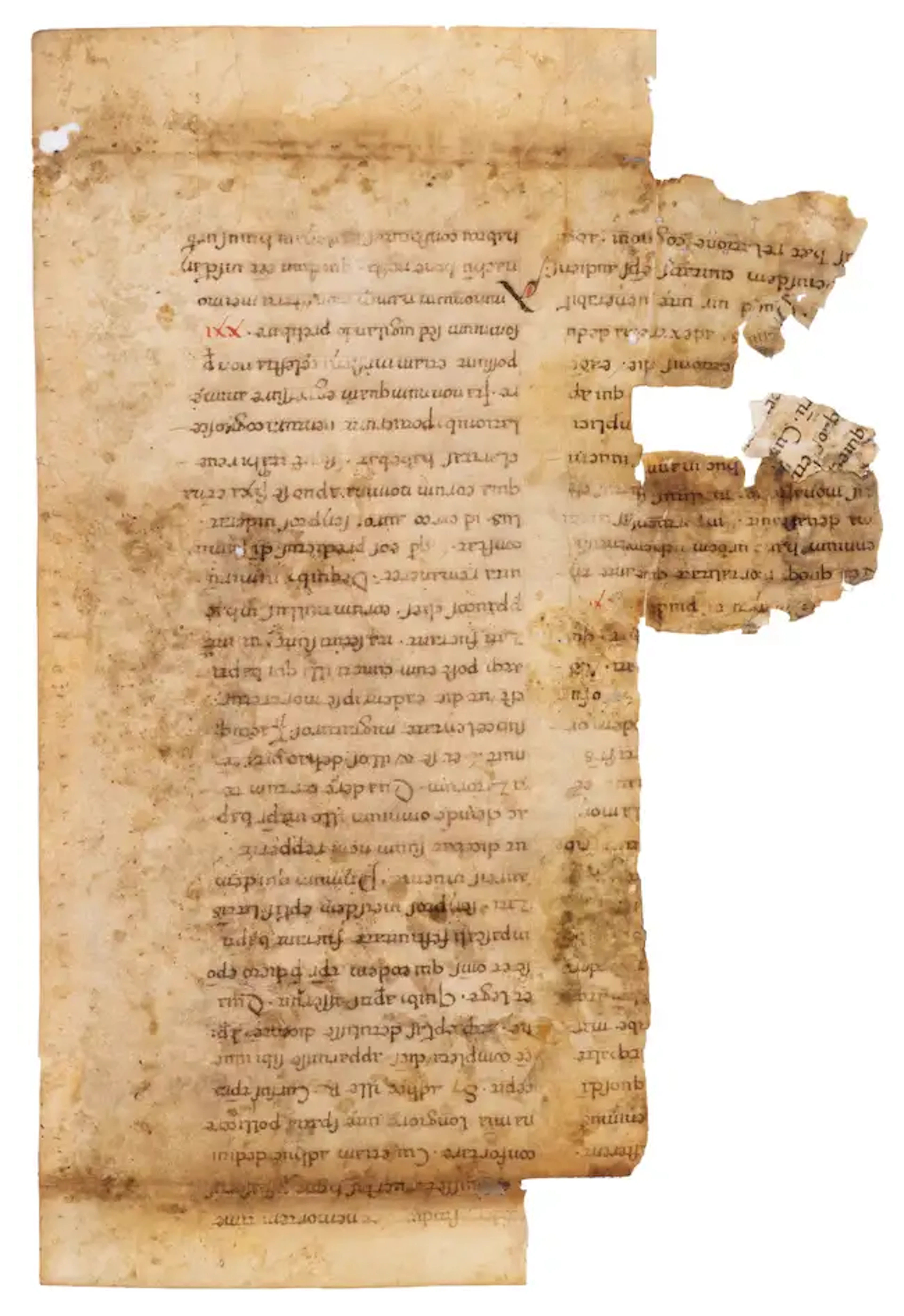 Two leaves and a small fragment from a Romanesque codex of Gregory