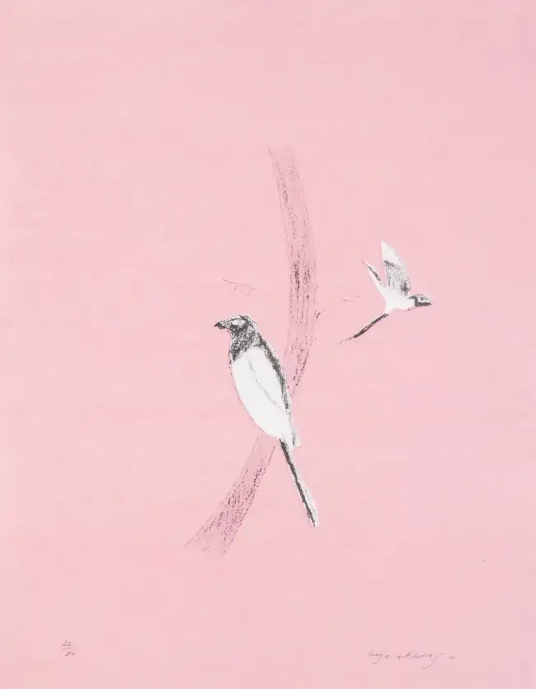 Craigie Aitchison (1926-2009) Magpie (Pica Pica) (Lambirth & Peck 6)