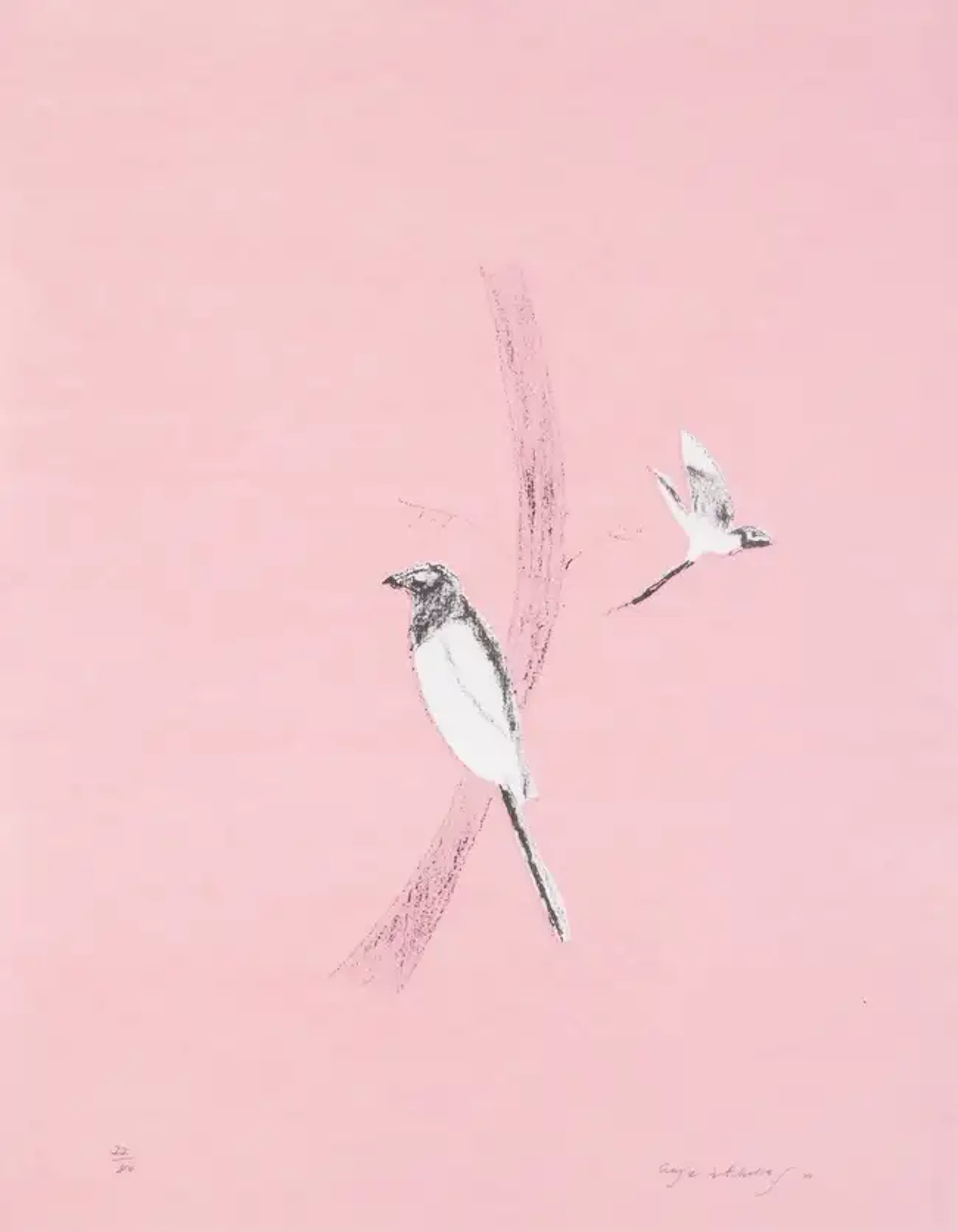 Craigie Aitchison (1926-2009) Magpie (Pica Pica) (Lambirth & Peck 6)