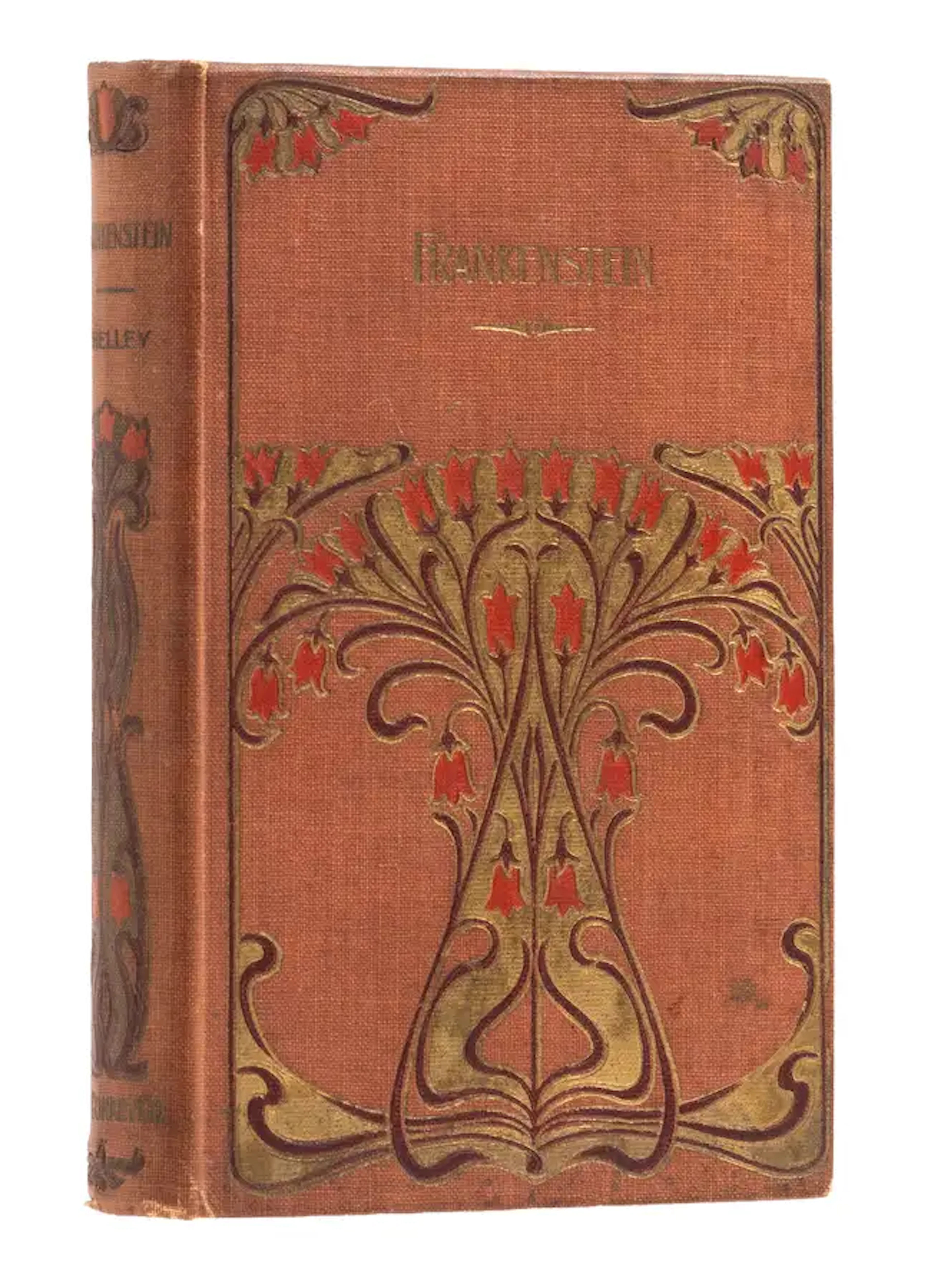 Shelley (Mary Wollstonecraft) Frankenstein or The Modern Prometheus