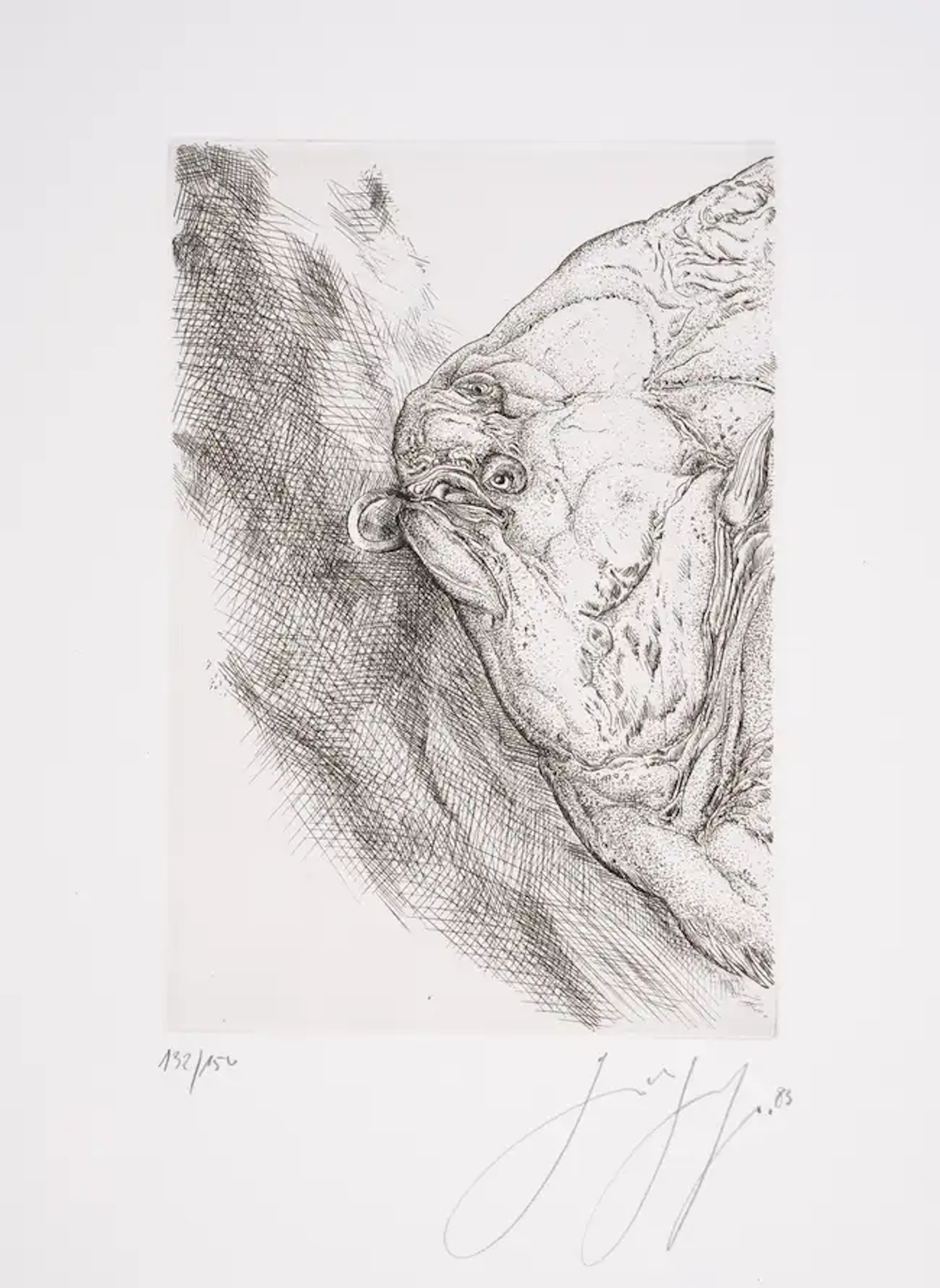 Grass (Günter) Drawings and Words 1954-1977, number C.85 of 100 from