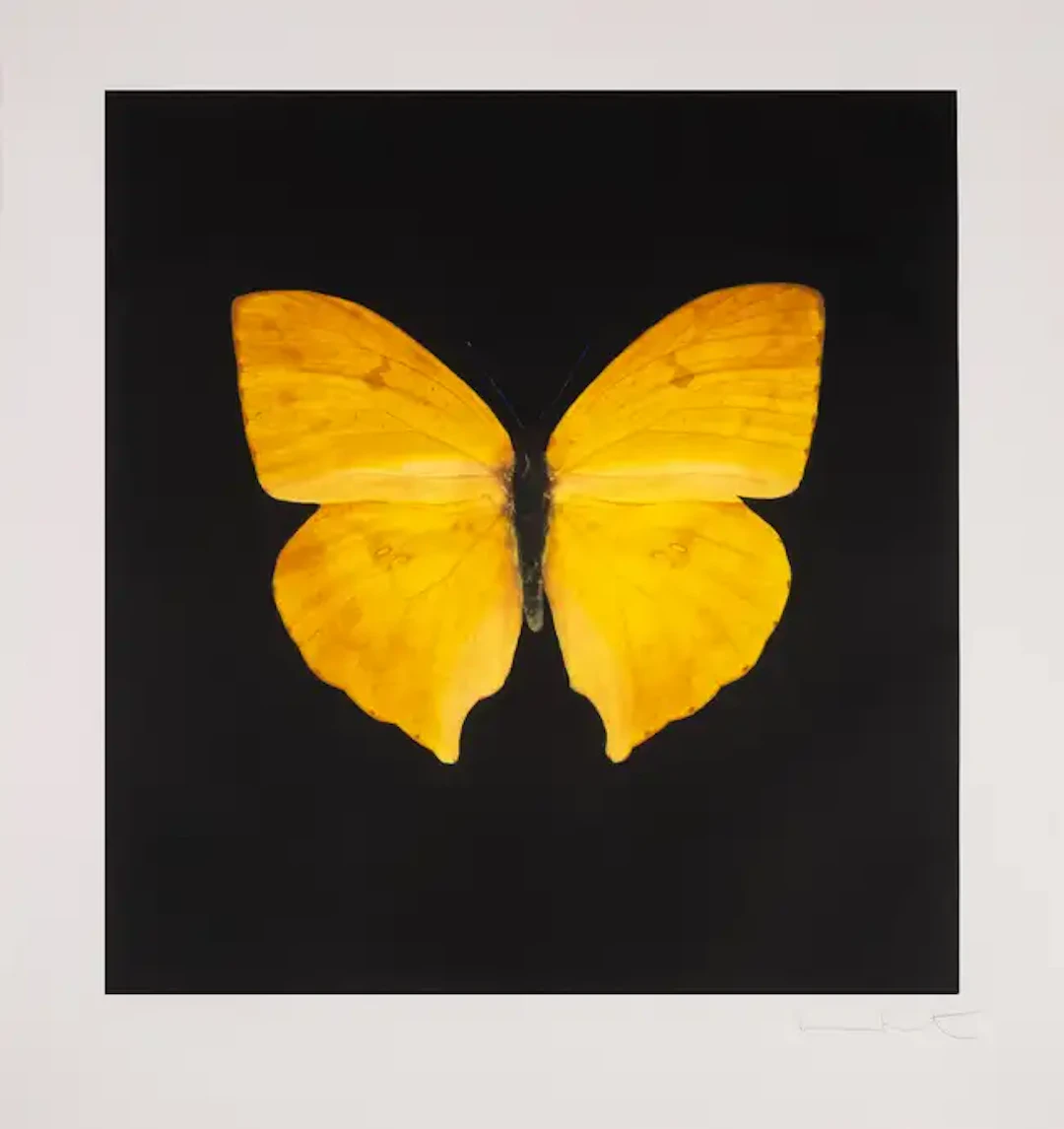 Damien Hirst (b.1965) The Souls on Jacob's Ladder Take Their Flight
