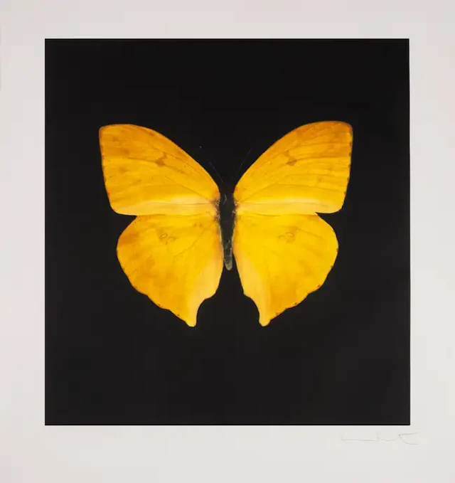 Damien Hirst (b.1965) The Souls on Jacob's Ladder Take Their Flight