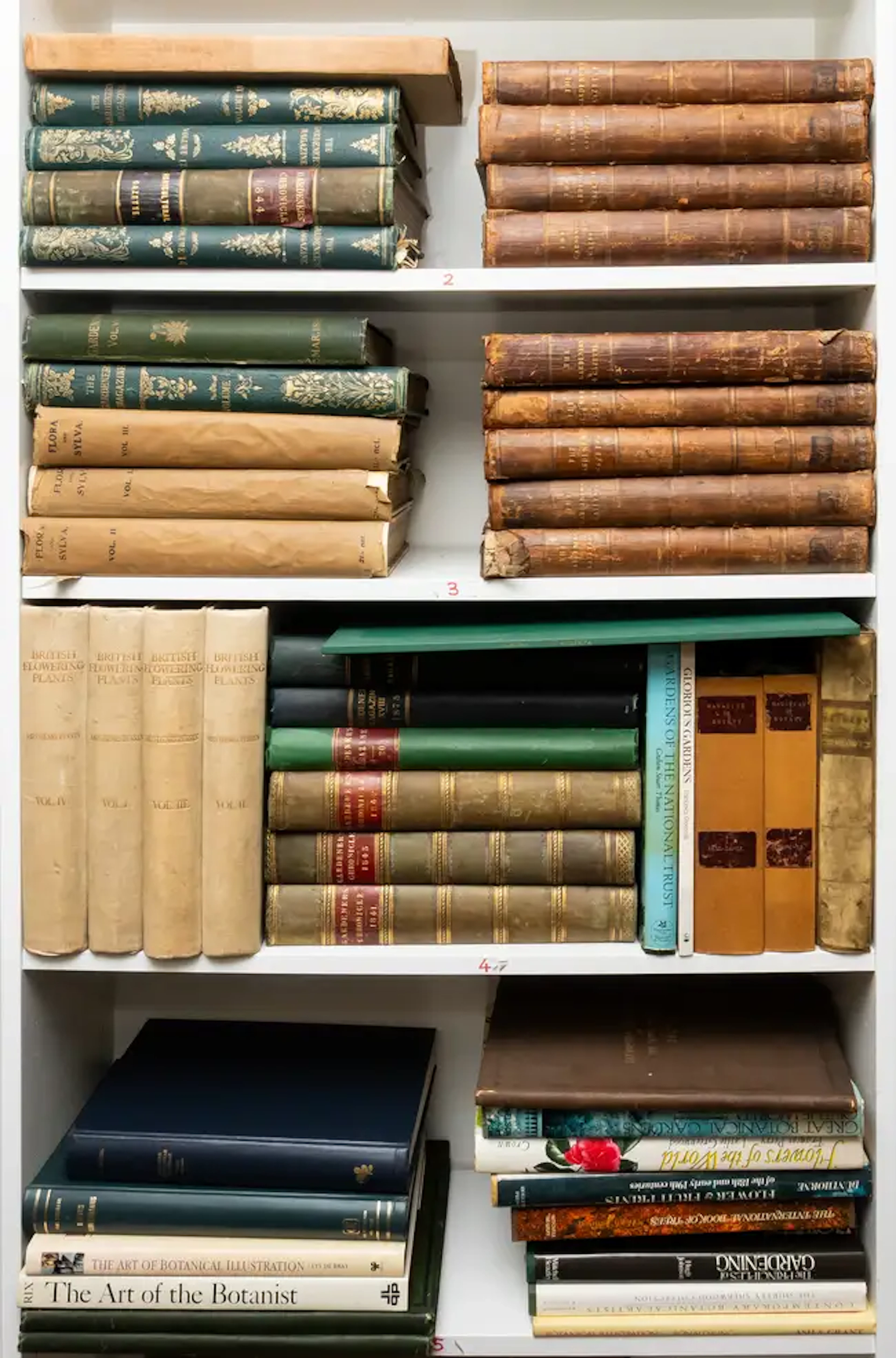 Botany.- Rennie (James, editor) The Magazine of Botany & Gardening