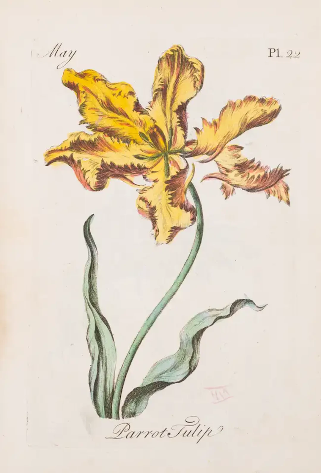 Botany.- Sayer (Robert) The Florist, first edition, [1760].