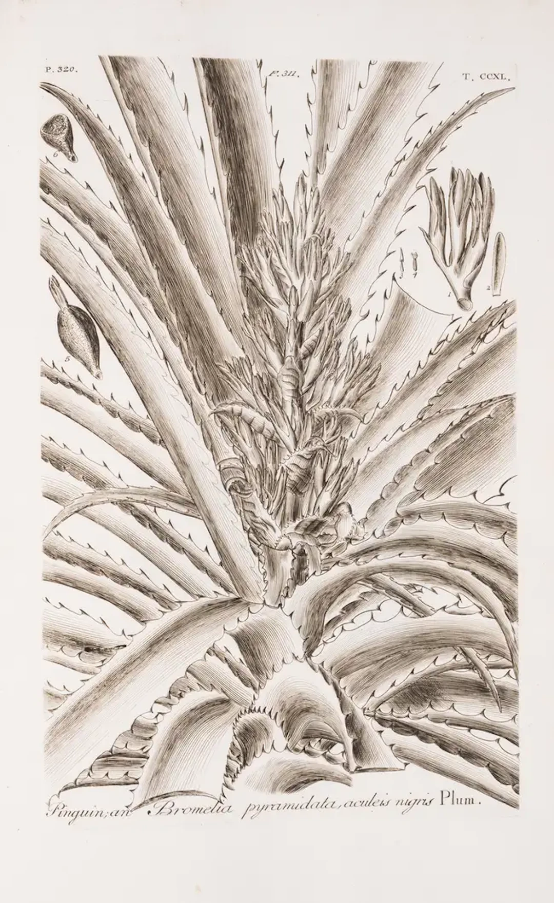 Botany.- Dillenius (Johann Jacob) Horti Elthamensis. Plantarum Rariorum