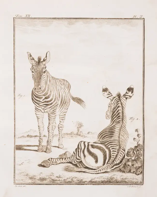 Zoology.- Buffon (G.L.M.L., Comte de) et al.. Histoire Naturelle