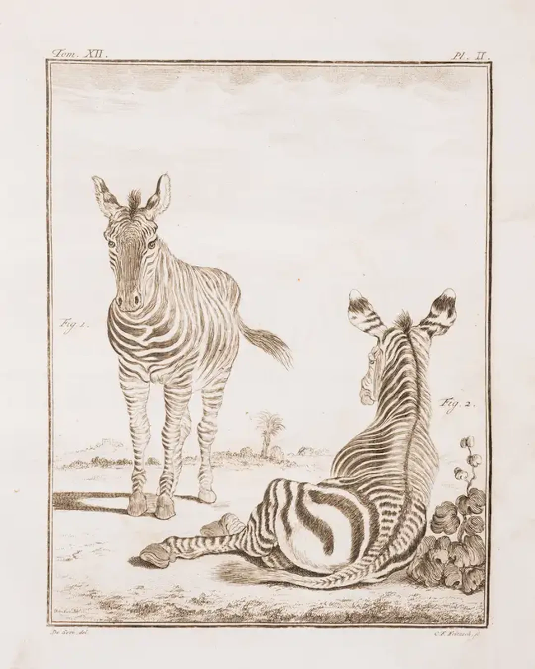 Zoology.- Buffon (G.L.M.L., Comte de) et al.. Histoire Naturelle