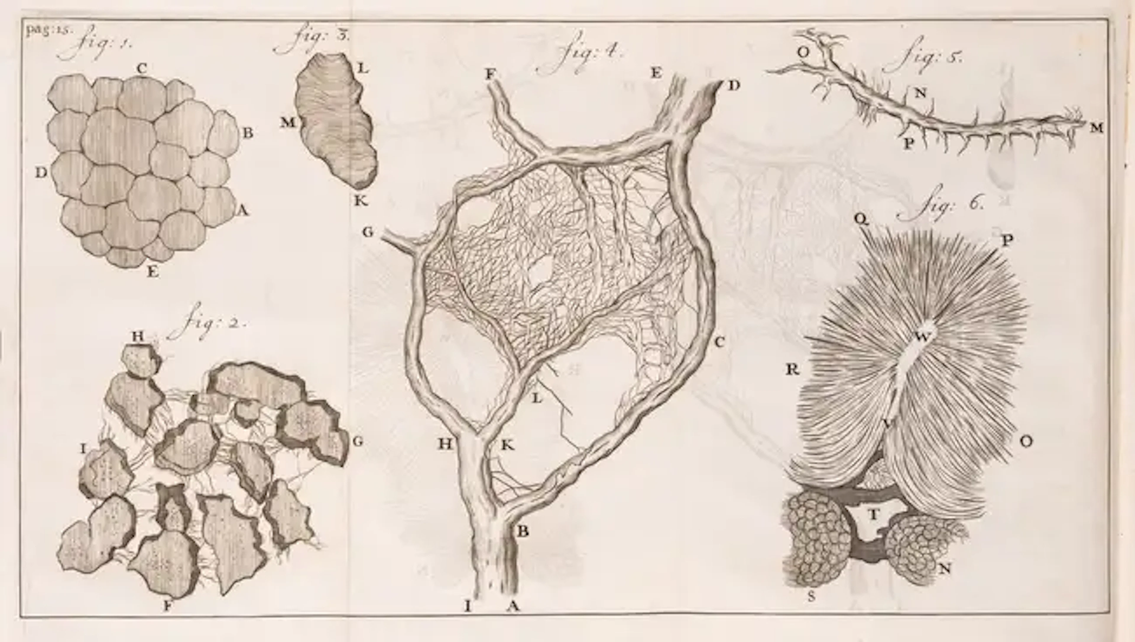Microscopy.- Leeuwenhoek (Antony van) Send-Brieven, Zoo aan de Hoog