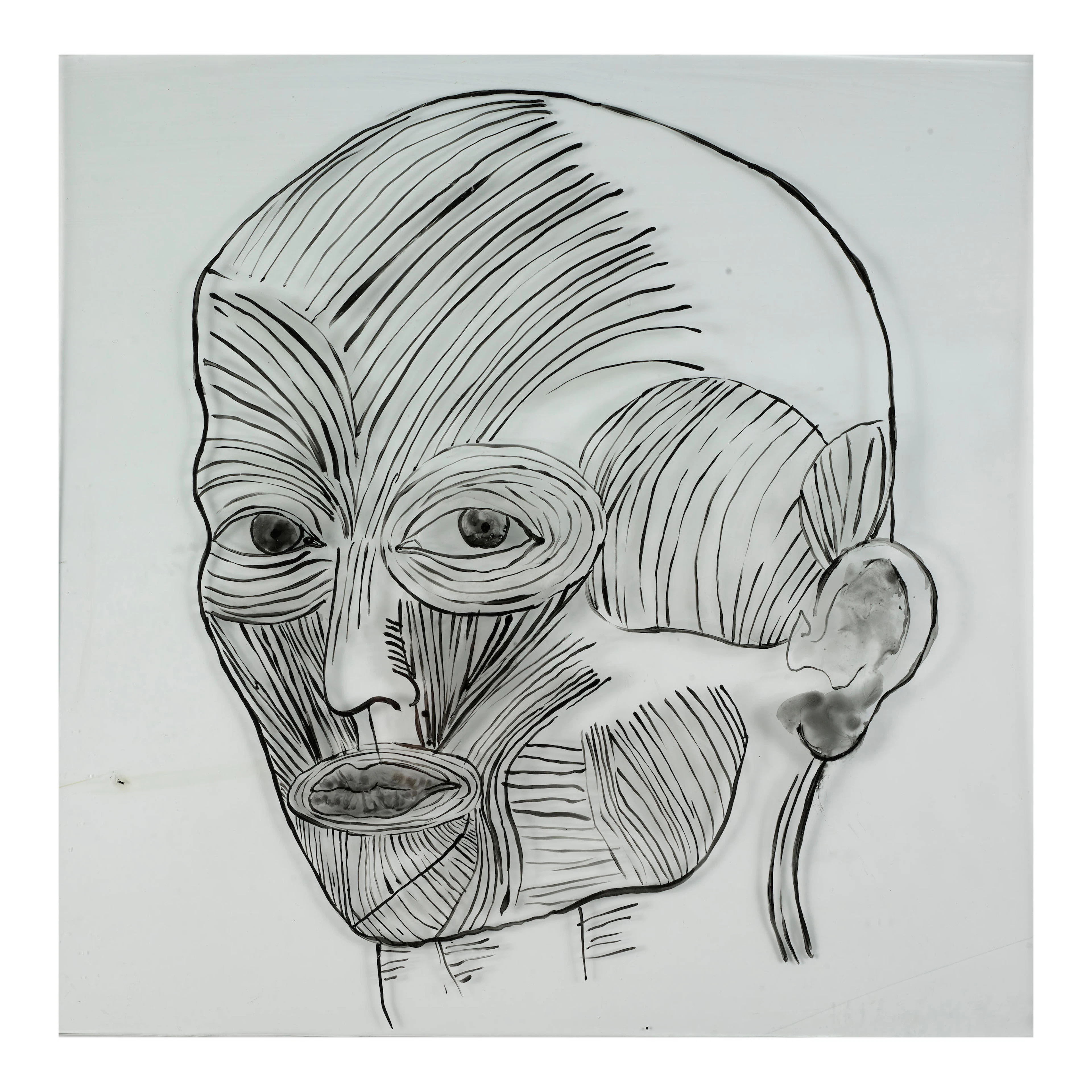 KIKI SMITH (B. 1954); Untitled;