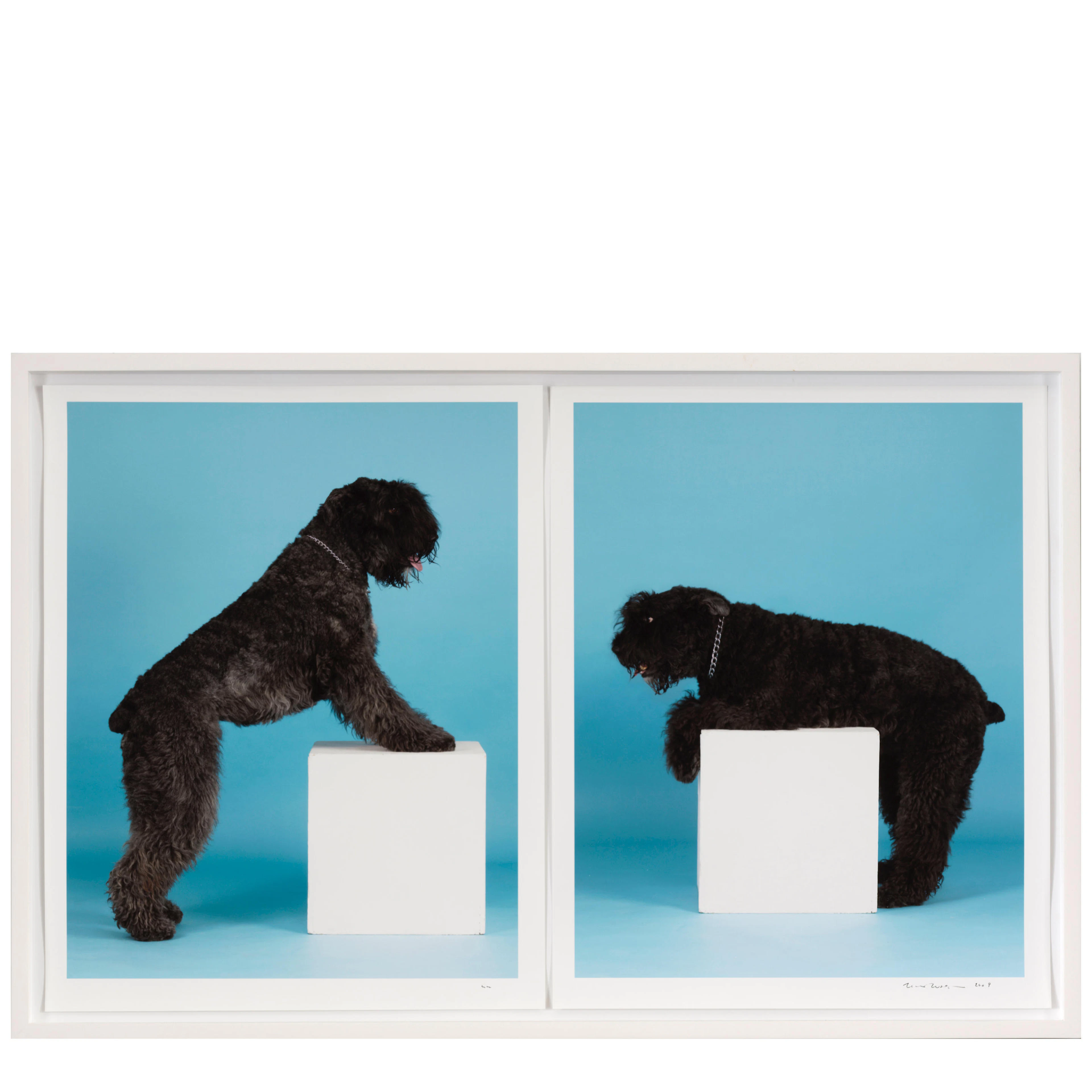 WILLIAM WEGMAN (B. 1943); Minnie and Peanut (Diptych of the Lichtenstein