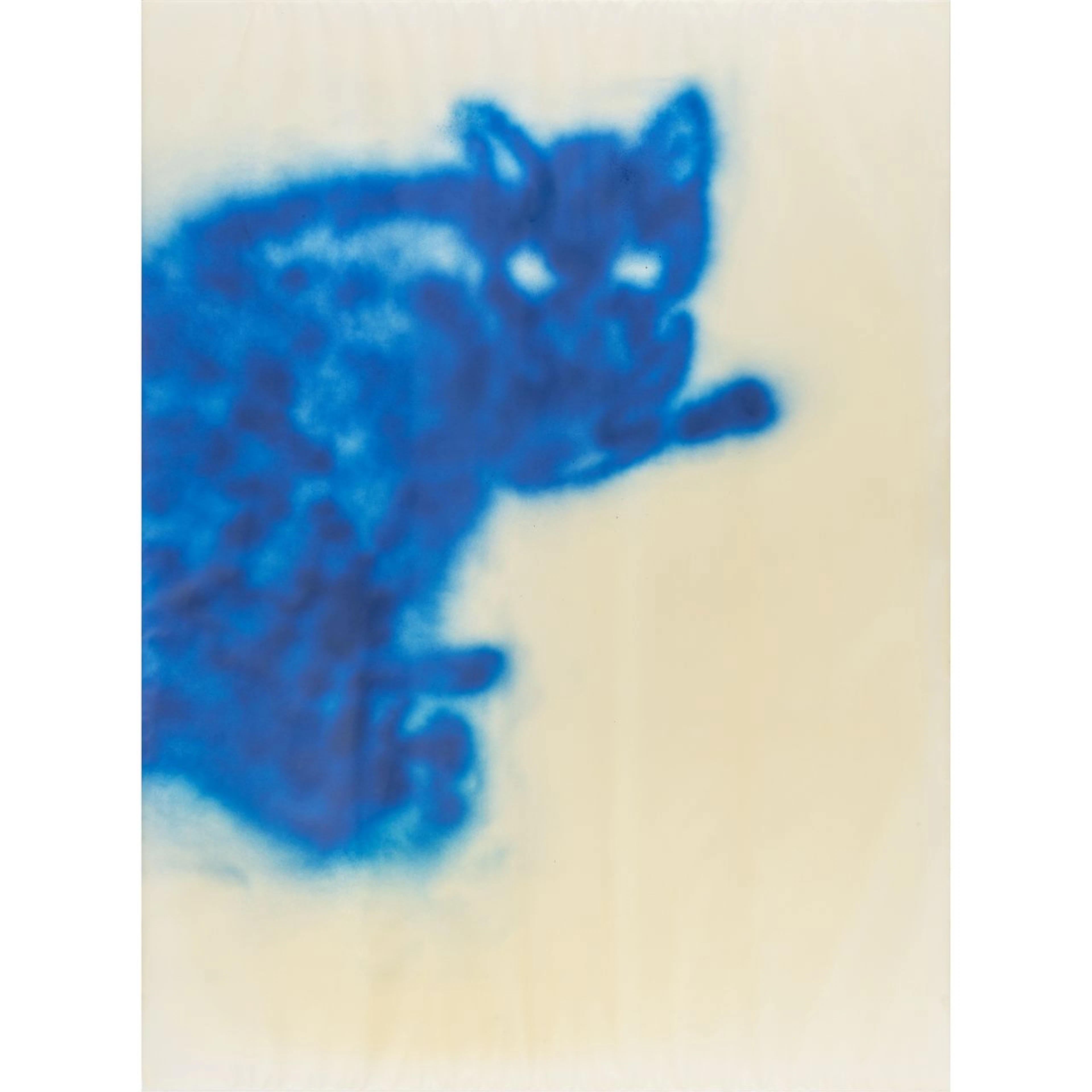 STEFANO ARIENTI (1961-) Gatto Klin 1999 vernice spray su carta da