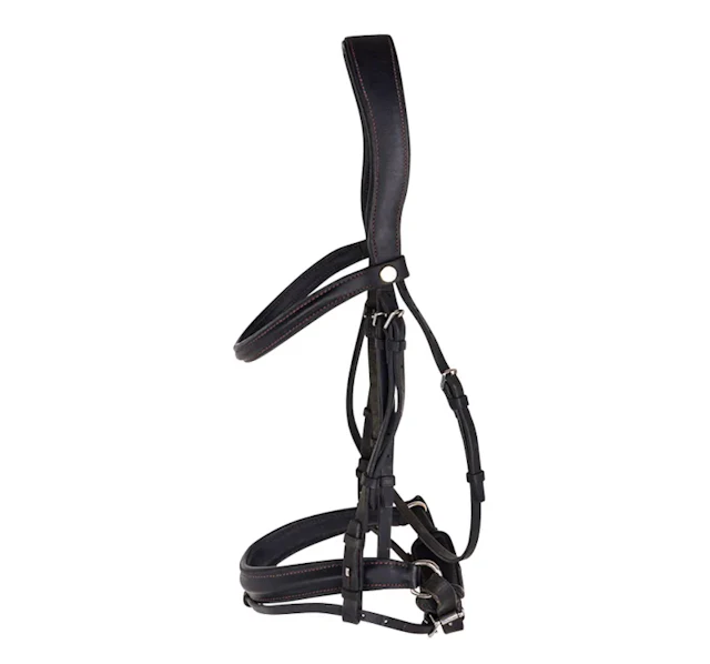 Hermes Sellier Figure-8 Jumping Bridle Black Leather Red Stitch Limited Edition