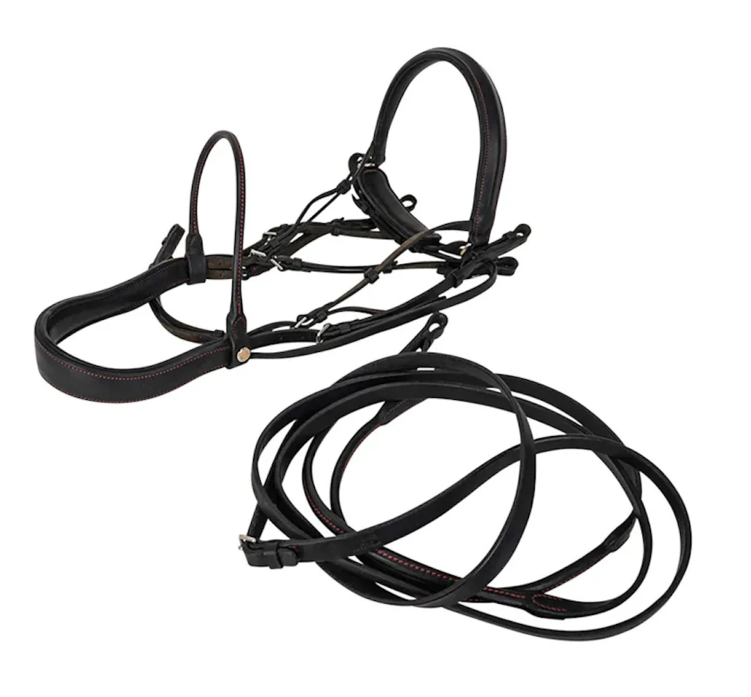 Hermès Sellier Limited Edition Bridle Black Leather Red Topstitch